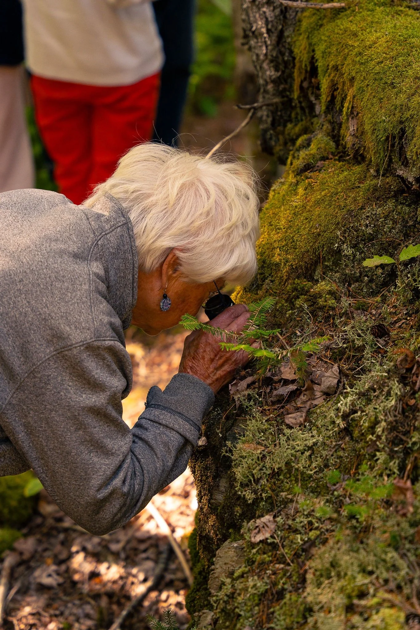  Participant observing moss at close range with a lens 