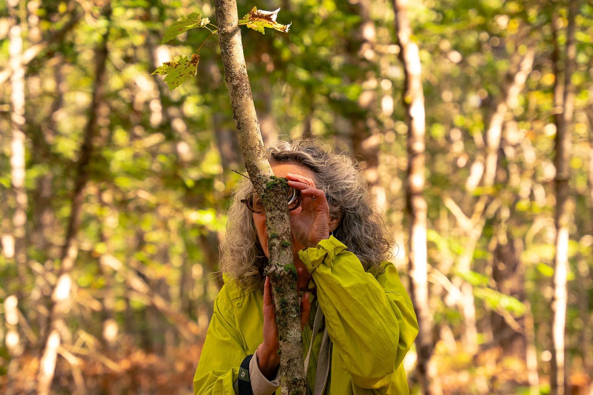  Participant observing lichen on trees with lens 