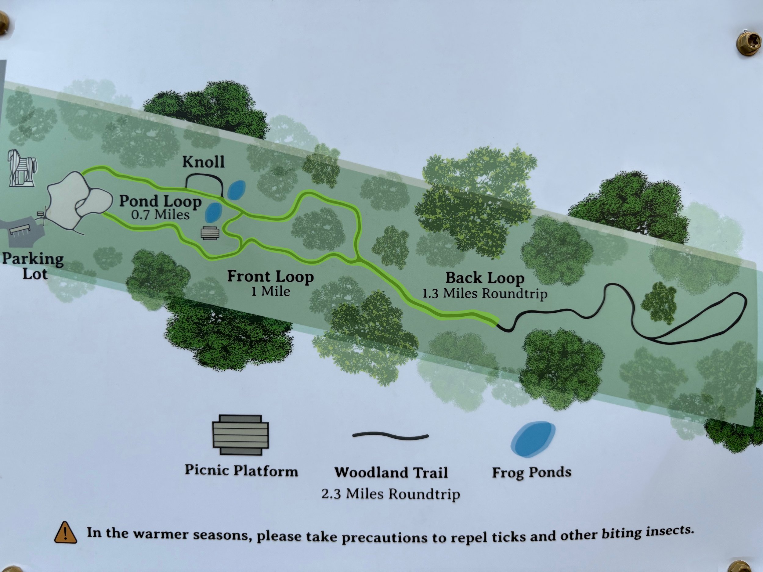  Langlais Art Preserve map of woodland trails with  Amplifying the Senses Walk  path highlighted 