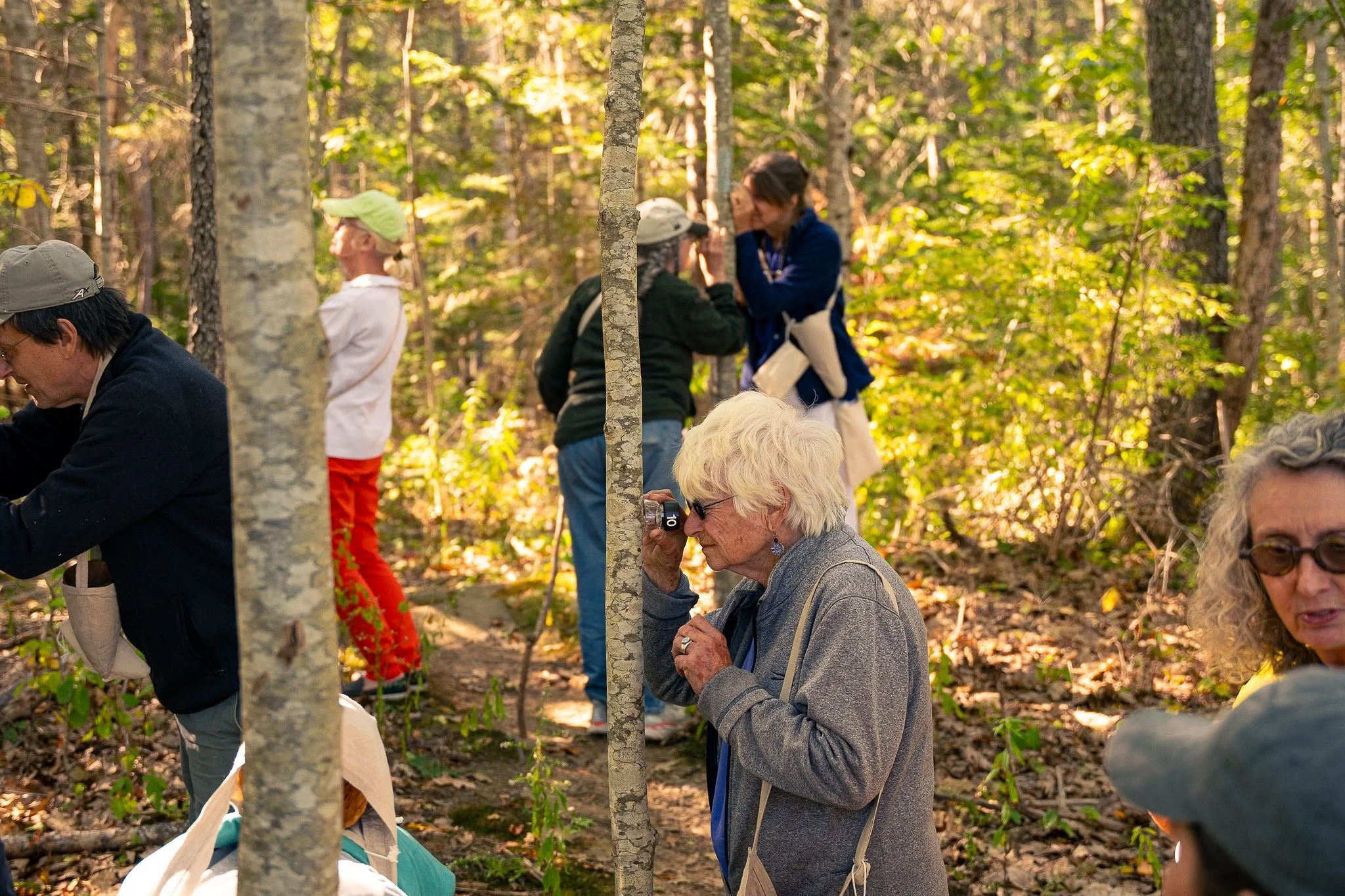  Participant observing lichen on trees with lens 