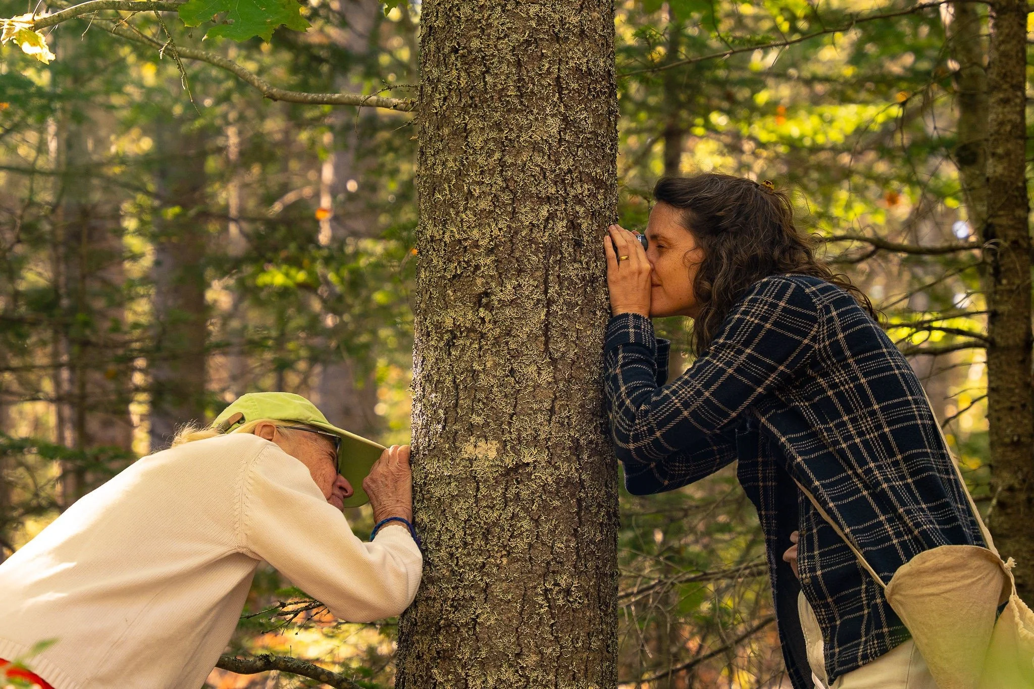  Participants observing lichen on tree through the lens 