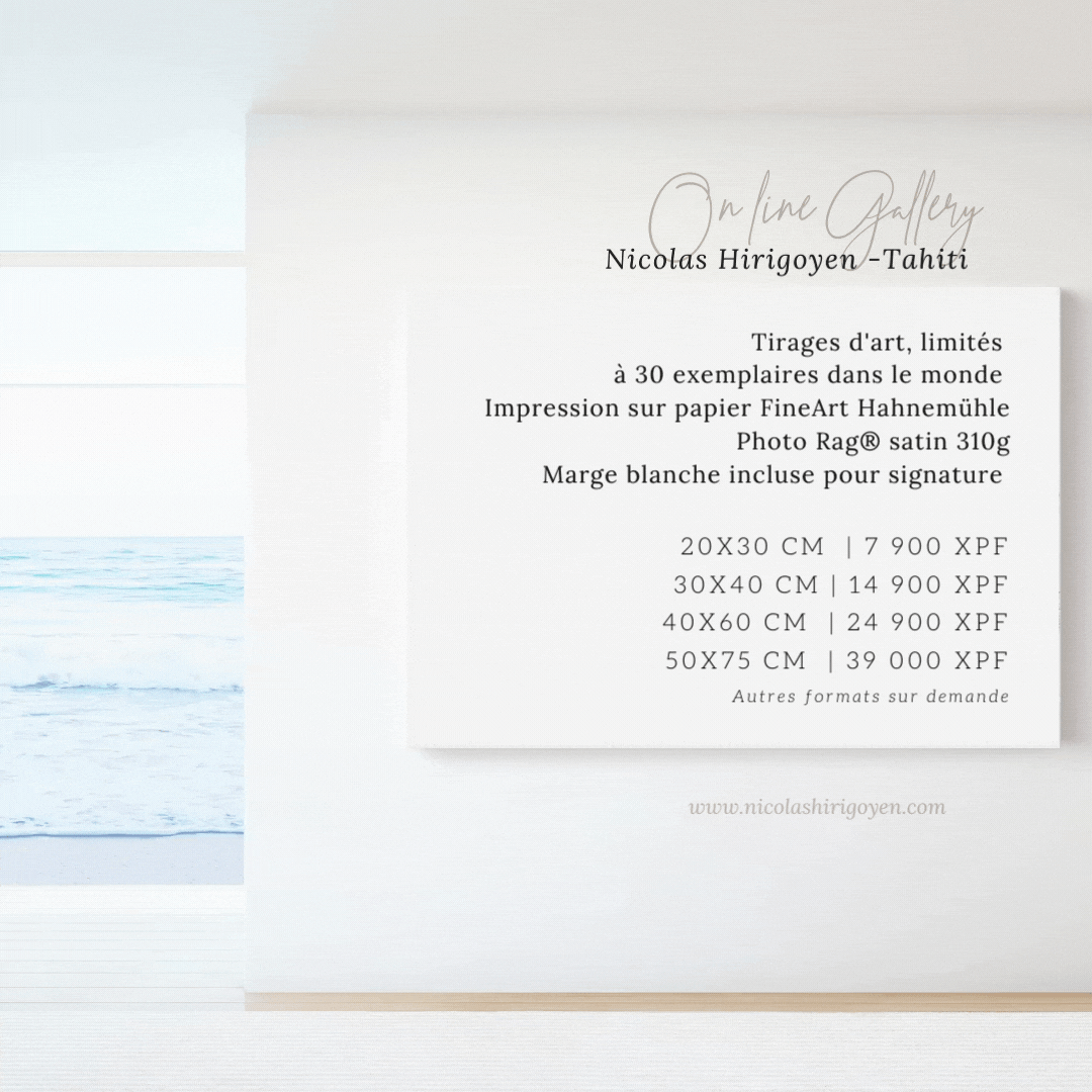 vignettes Gallery site squarespace.gif