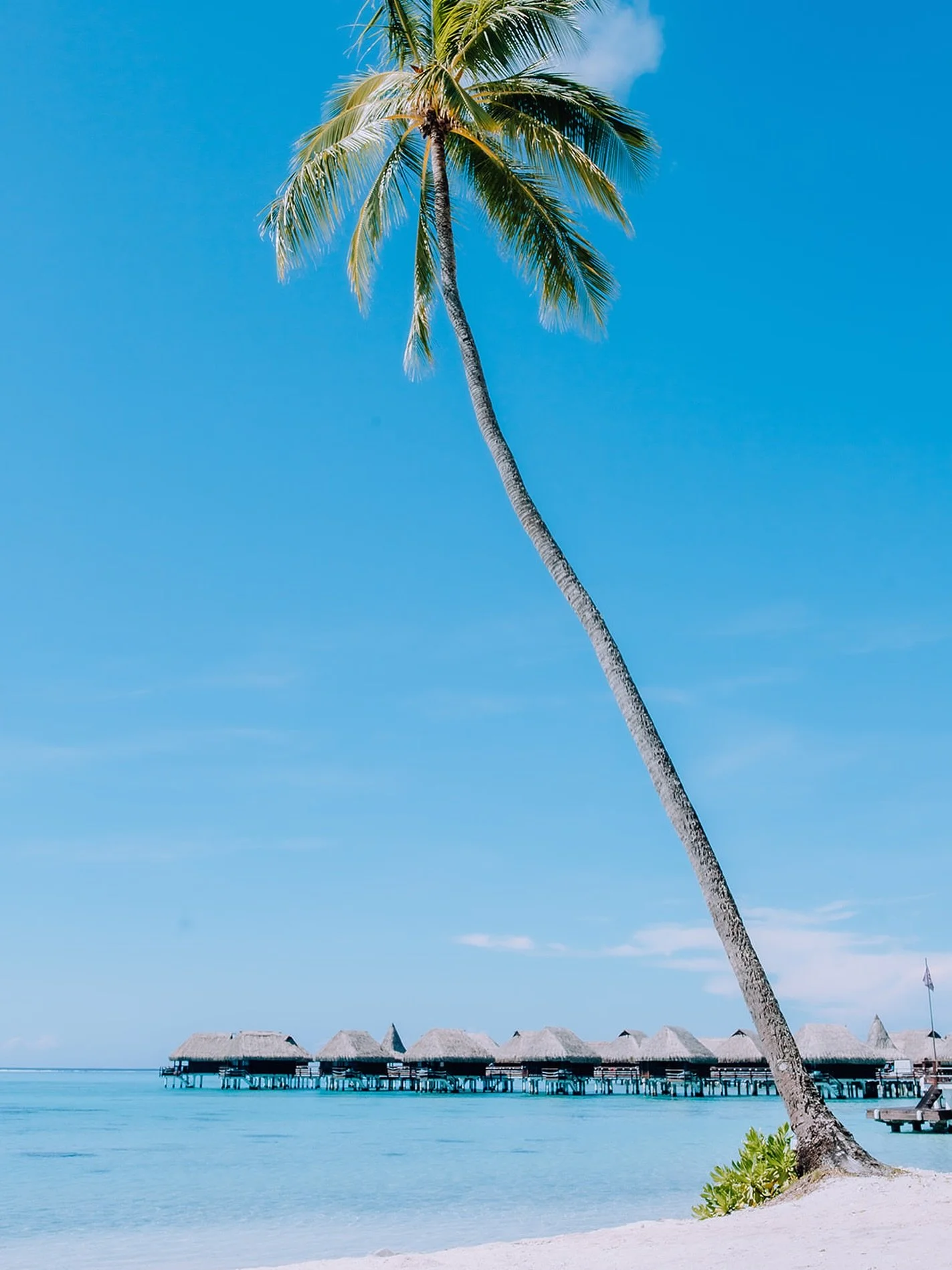 S I G N A T U R E  P L A C E