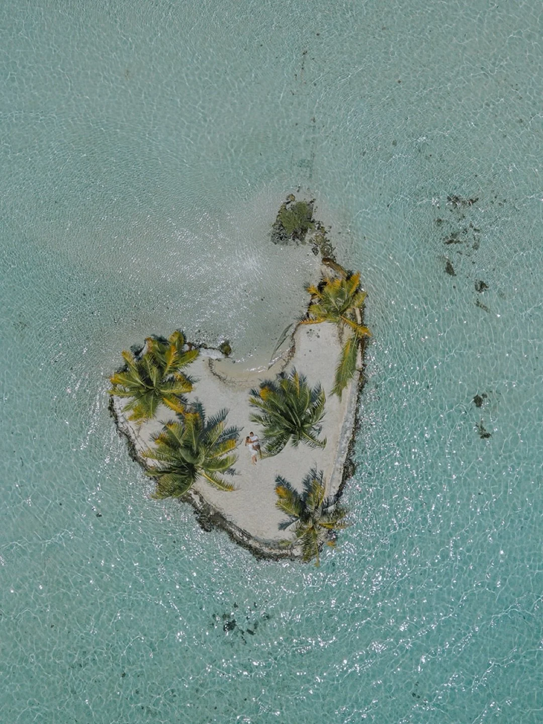 Quand le drone d&eacute;colle, tu comprends, la Polyn&eacute;sie, &ccedil;a ne se raconte pas, &ccedil;a se vit, &ccedil;a se vole ❤️&zwj;🔥
Toutes les s&eacute;ances - LINK IN BIO

🇺🇸When the drone lifts off, you get it. French Polynesia doesn&rsq