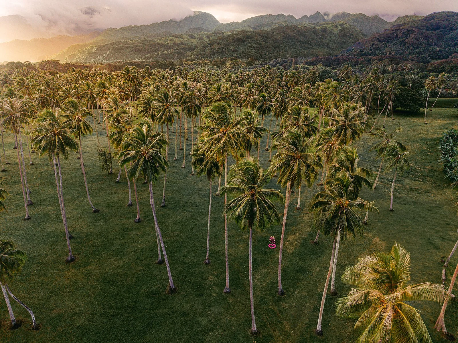 Séance photo à Tahiti, viens comme tu es