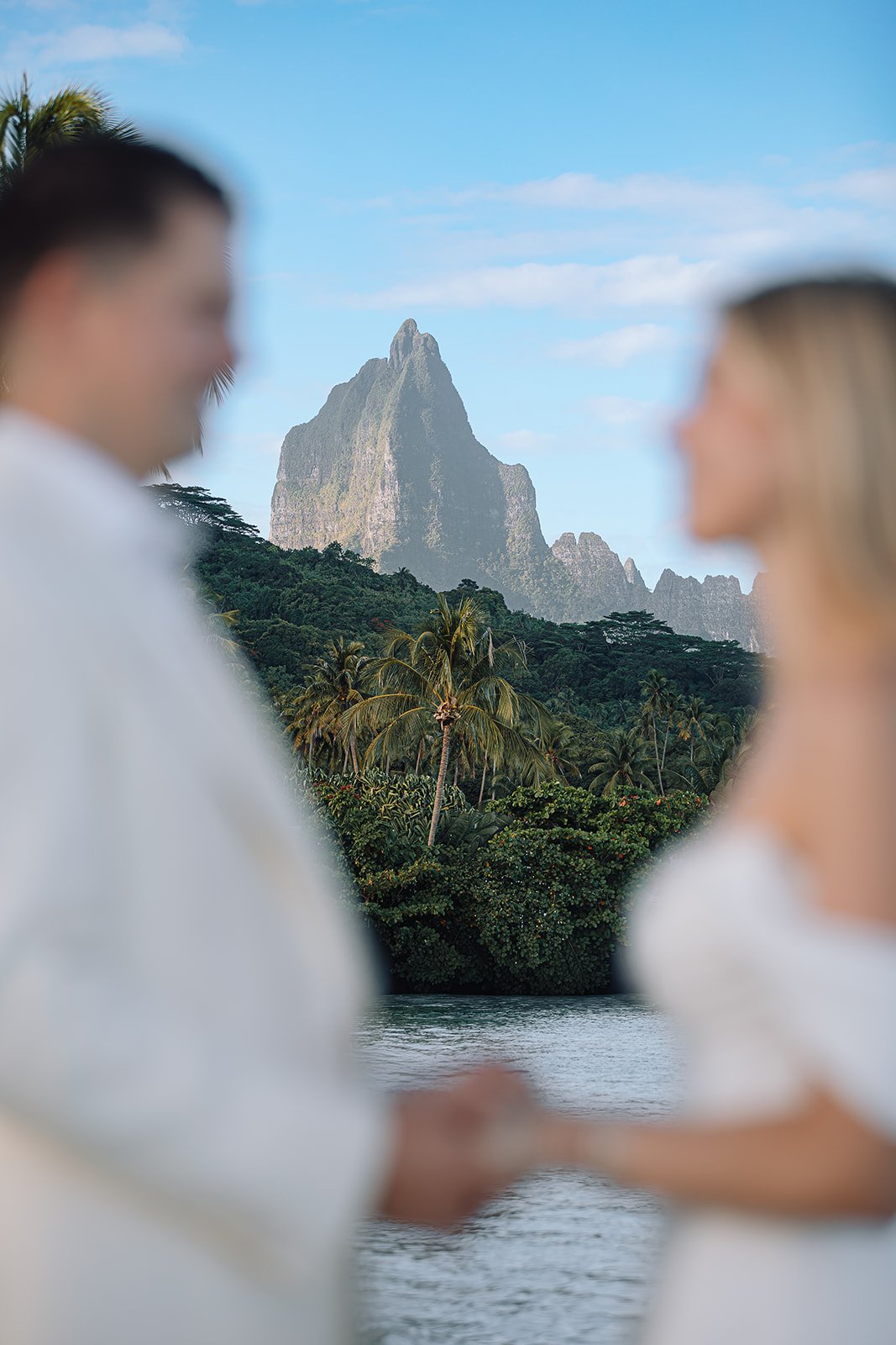 Voir des dauphins à Moorea, quand la nature s'invite