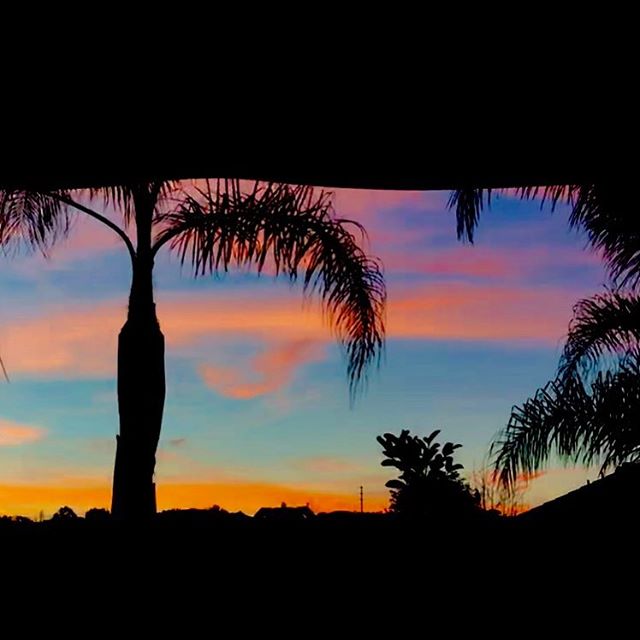 At dusk, the view from our kitchen, colors emerge inside the house as the night takes over. Life brings us the stars, our imagination create universes, manifestation sync with desires, abundance is zesty, life flows, music serenade, aromas enchant... it is the vibe ☀️ #passionateliving #travelwithapurpose #lifeiscolorful #nomadlife #coworkingspace #airbnb #sandiegoretreats #flow #dusk #magichour @zestexplorer @thevibehousesd