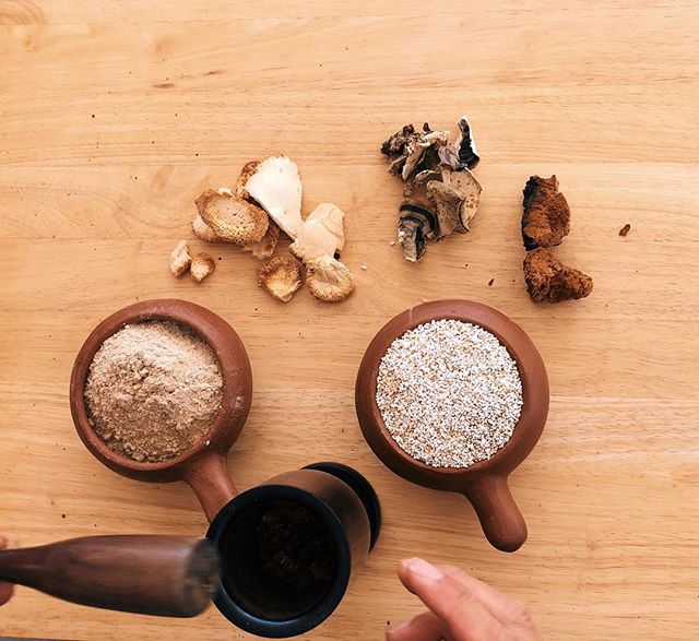 Food Alchemy 𖤛 making magic powder
Maca Root🌱 aids in memory, focus and helps balance hormones. Also filled with antioxidants, vitamins, and 20 amino acids
Amaranth🌾an Ancient Aztec wonder food and helps build muscles
Lion’s Mane Mushroom🍄 improves memory, boost creativity, and helps in concentration
Turkey Tail Mushroom 🍄 Antiviral and boosts immune system
Chaga Mushroom🍄 Highest in antioxidants and strengthens the immune system