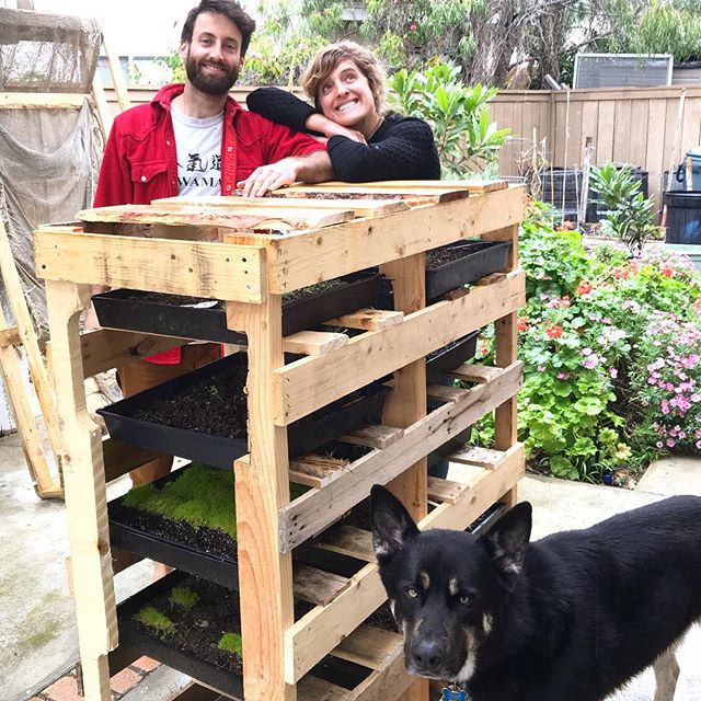 Sprouting station made with used pallets 🙌😊 #sustainability #coworkingspace #nomadlife #abundance #travelwithapurpose Thanks @olymperabate n @davessdad for the help 🙏🏼😊 Created by @zestexplorer