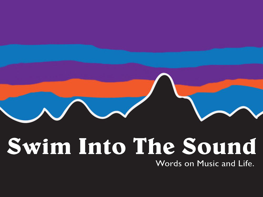 SWIM_PATAGONIA.png
