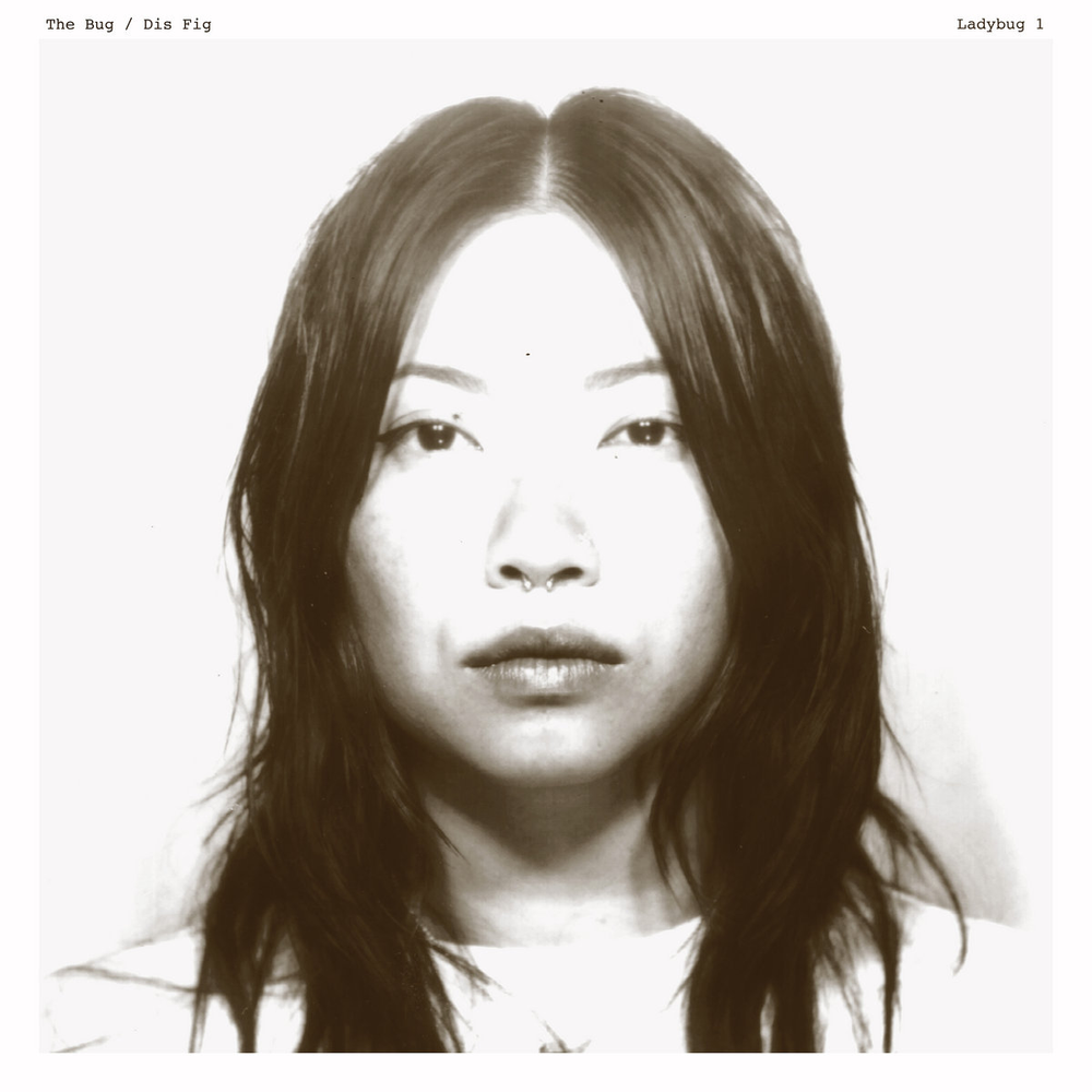 Amen Dunes – Death Jokes | Album Review — Swim Into The Sound