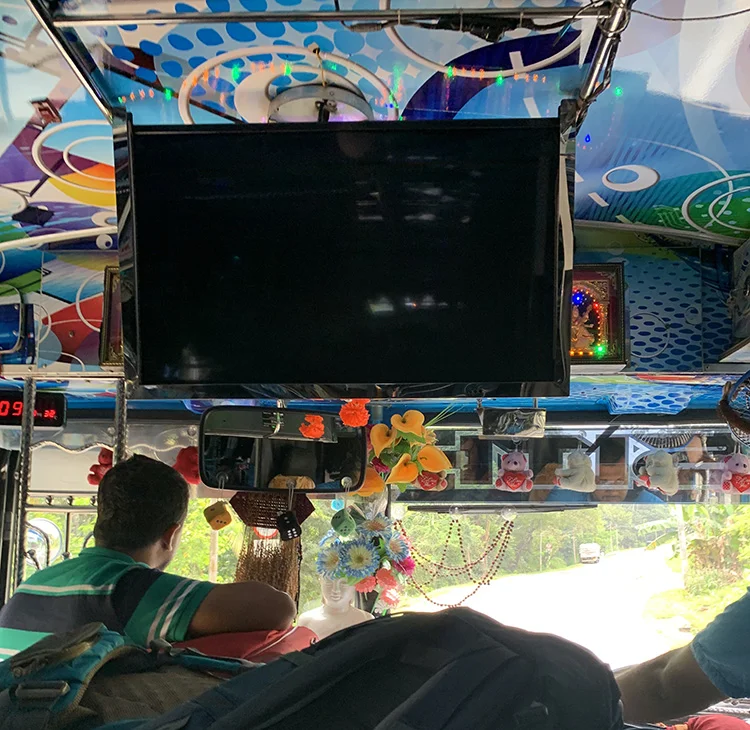 Bus View.jpg