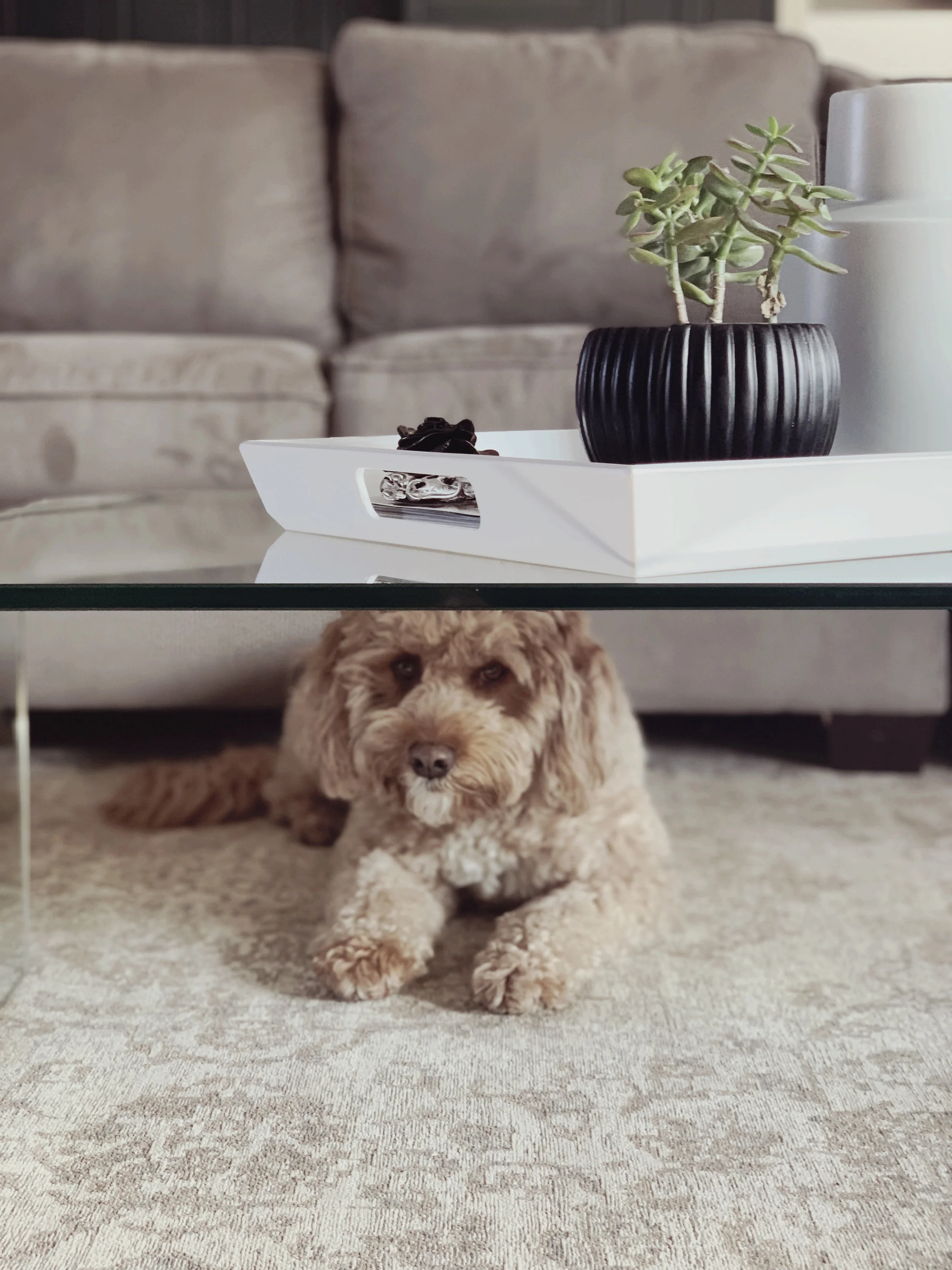 How to style a small coffee table