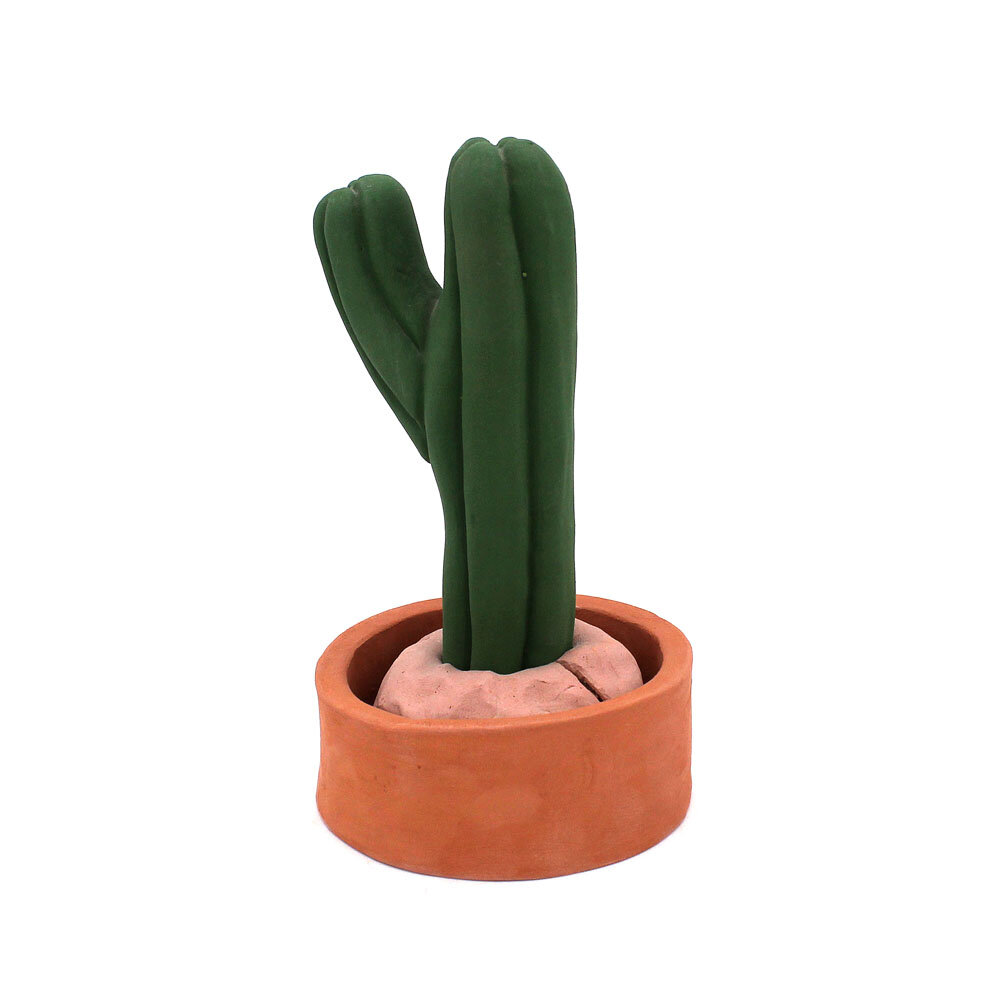 Small Cactus
