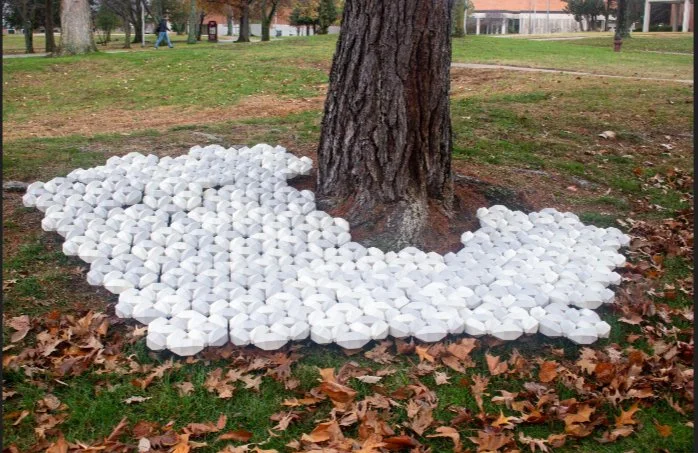 pierce haley image3 (1).jpeg