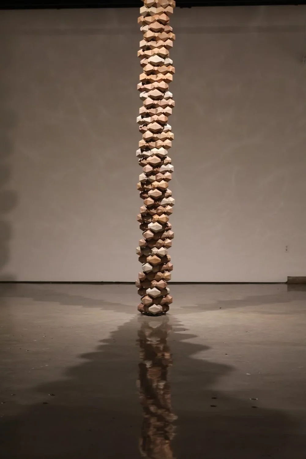 pierce haley image4.jpeg