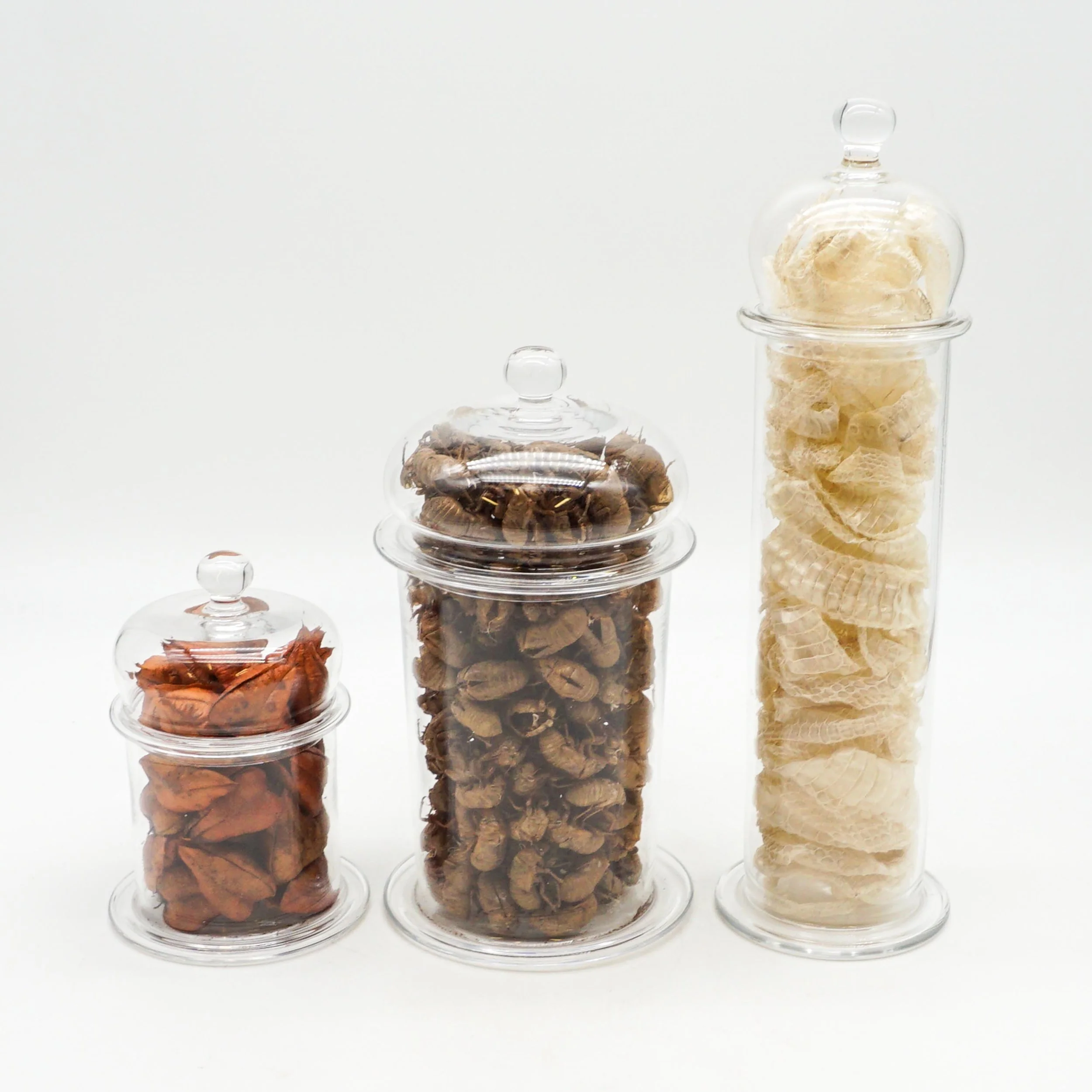 Arnett,Jake_JAR01-01.jpg