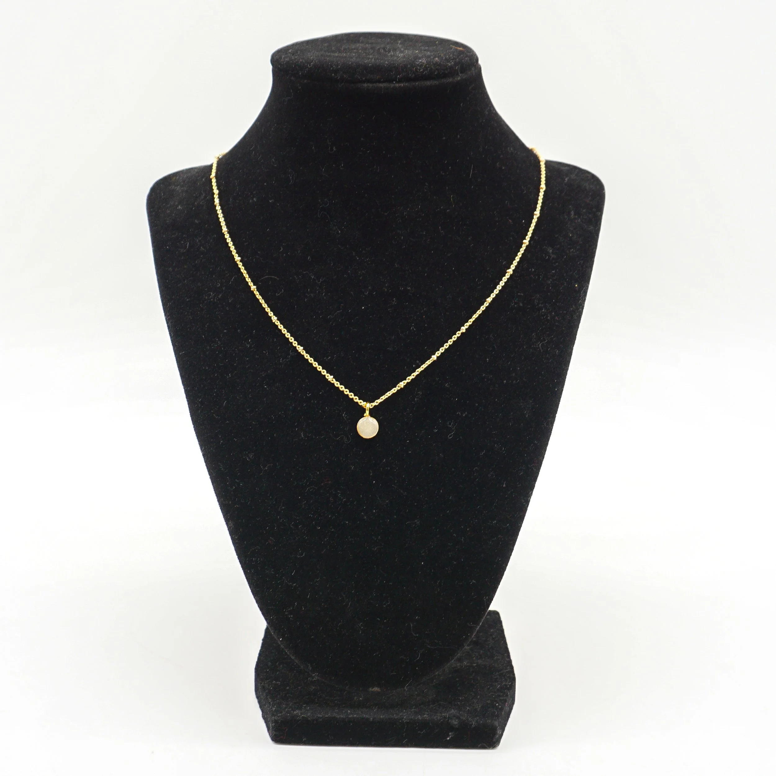 Schroeder, Erica_ESCH76C-1.jpg