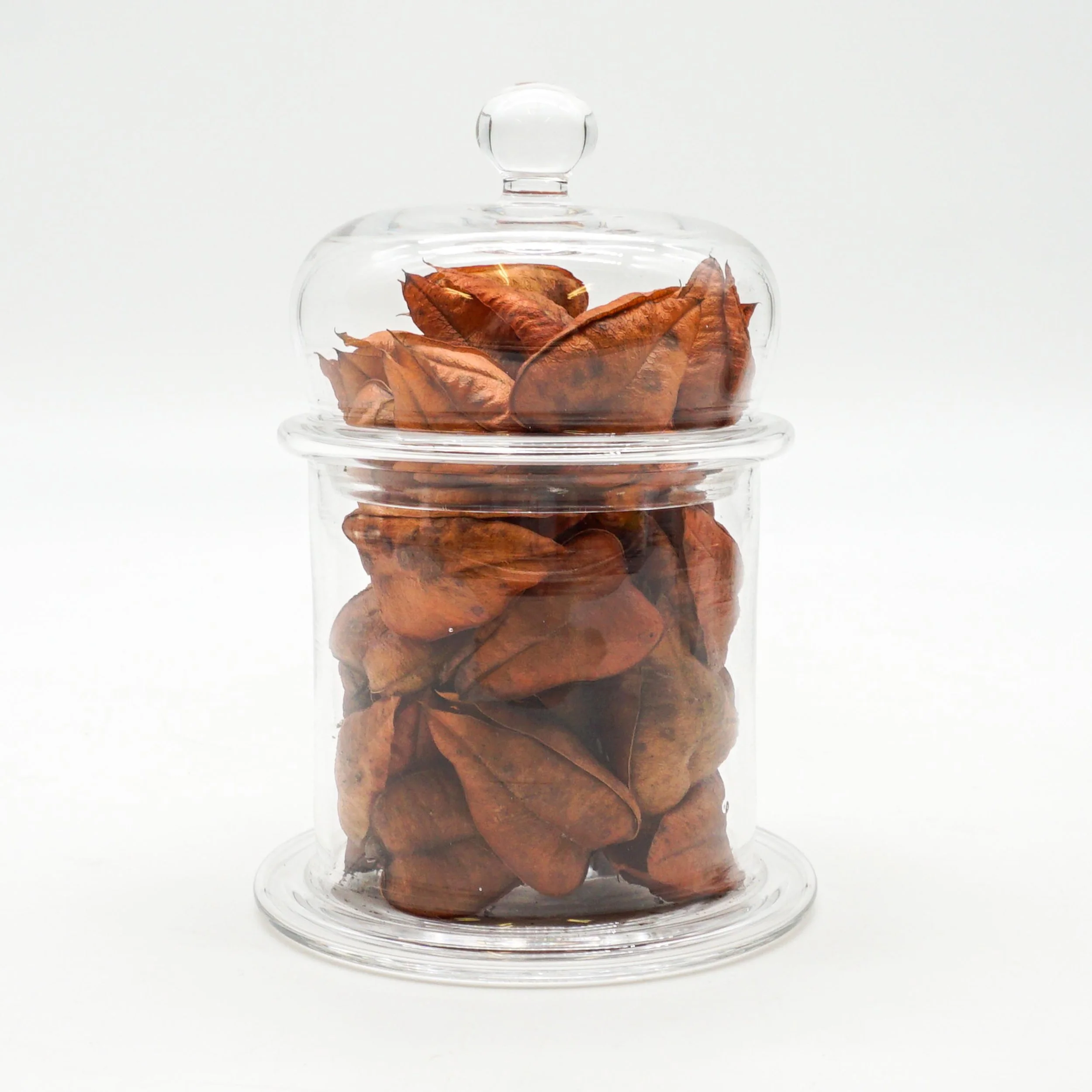 Arnett,Jake_JAR01-05.jpg