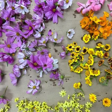 Hadley Clark_Hand Stitched + Naturally Fed Dream Sachet_Dye FLowers.jpg