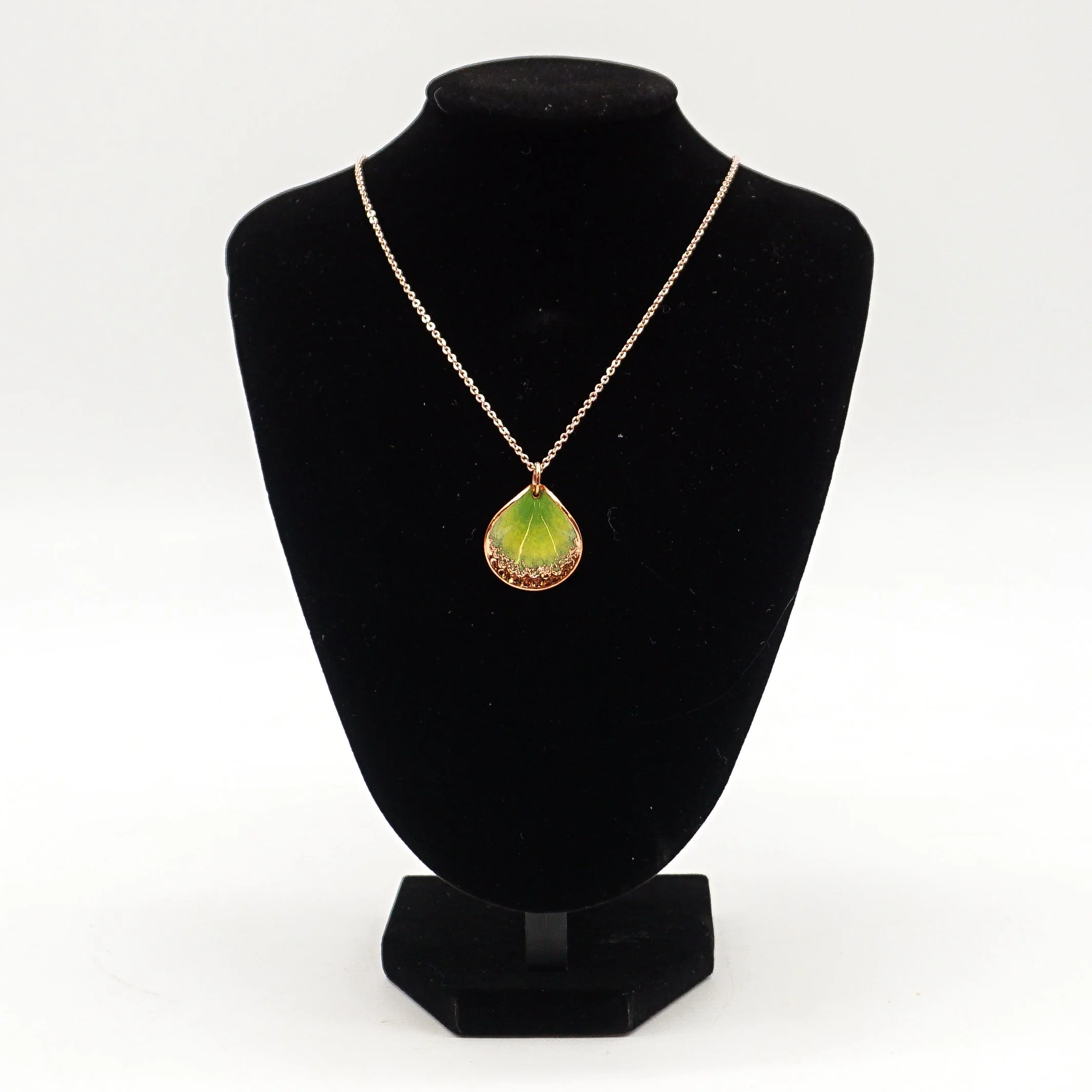 Acosta, Cheryl Eve_CEA08-1.jpg