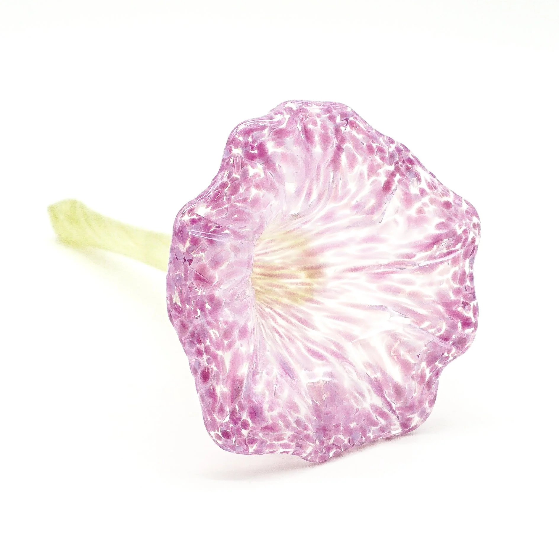 Purple and Green Flower