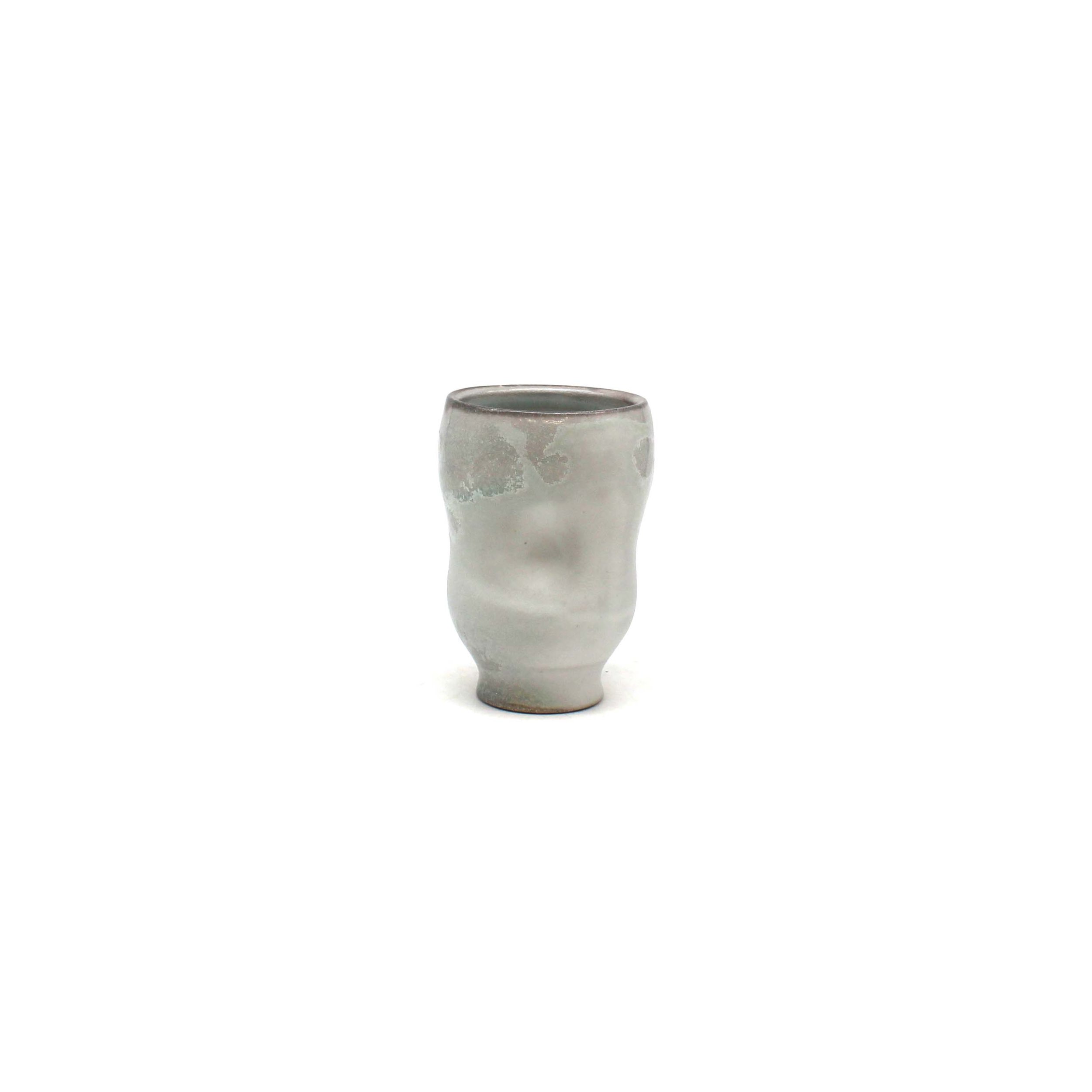 Snow Cup 8