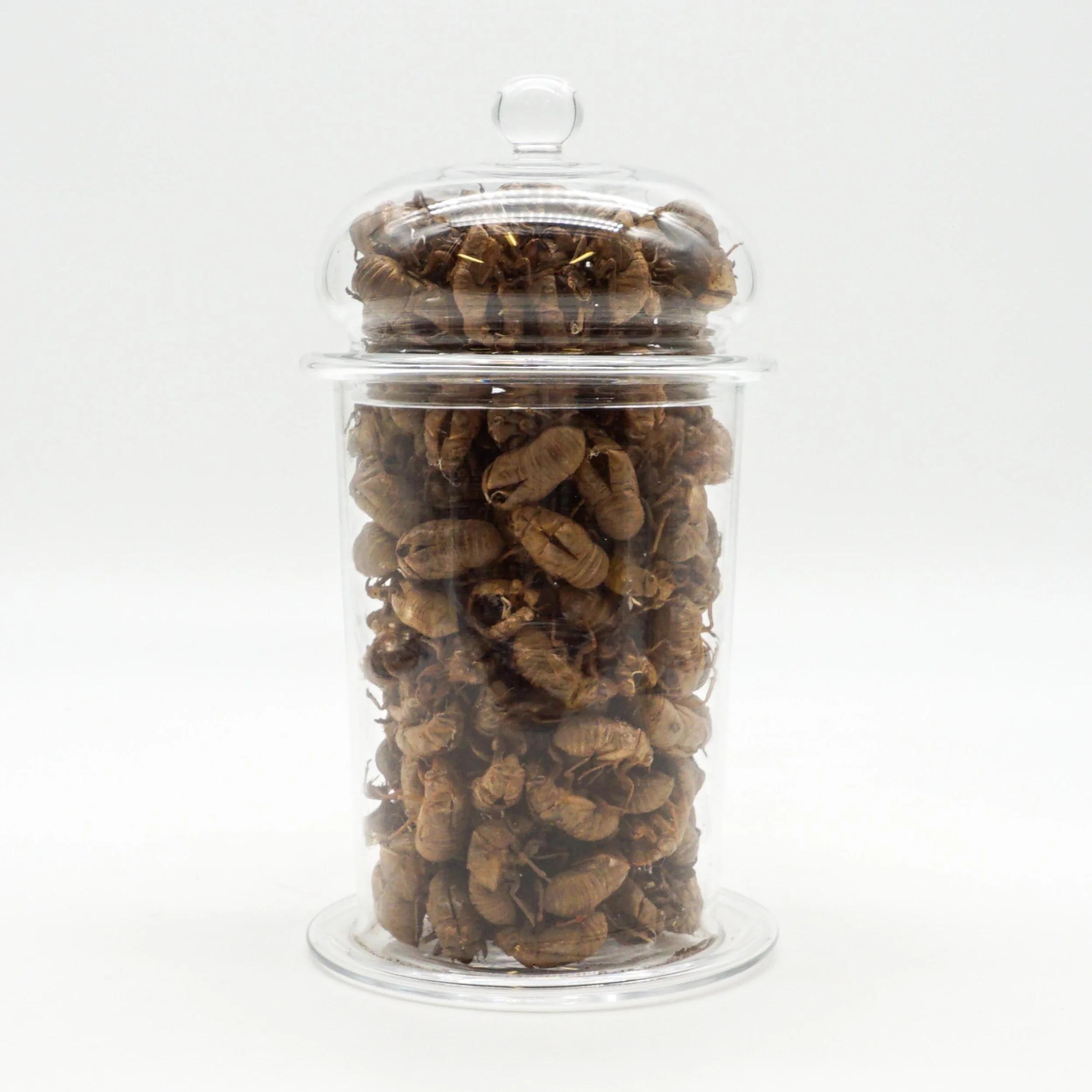 Arnett,Jake_JAR01-09.jpg
