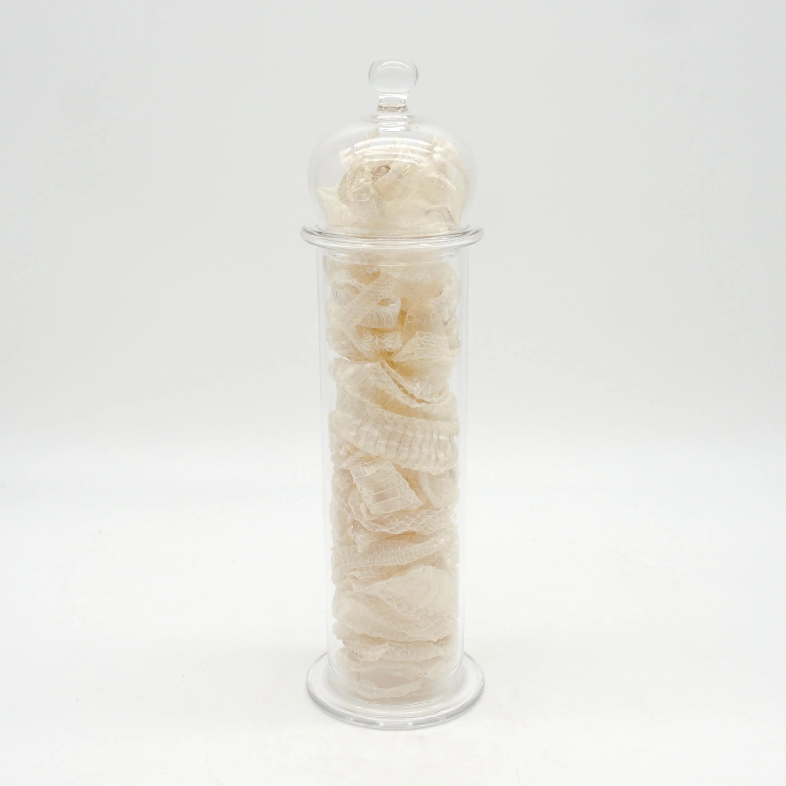 Arnett,Jake_JAR01-15.jpg