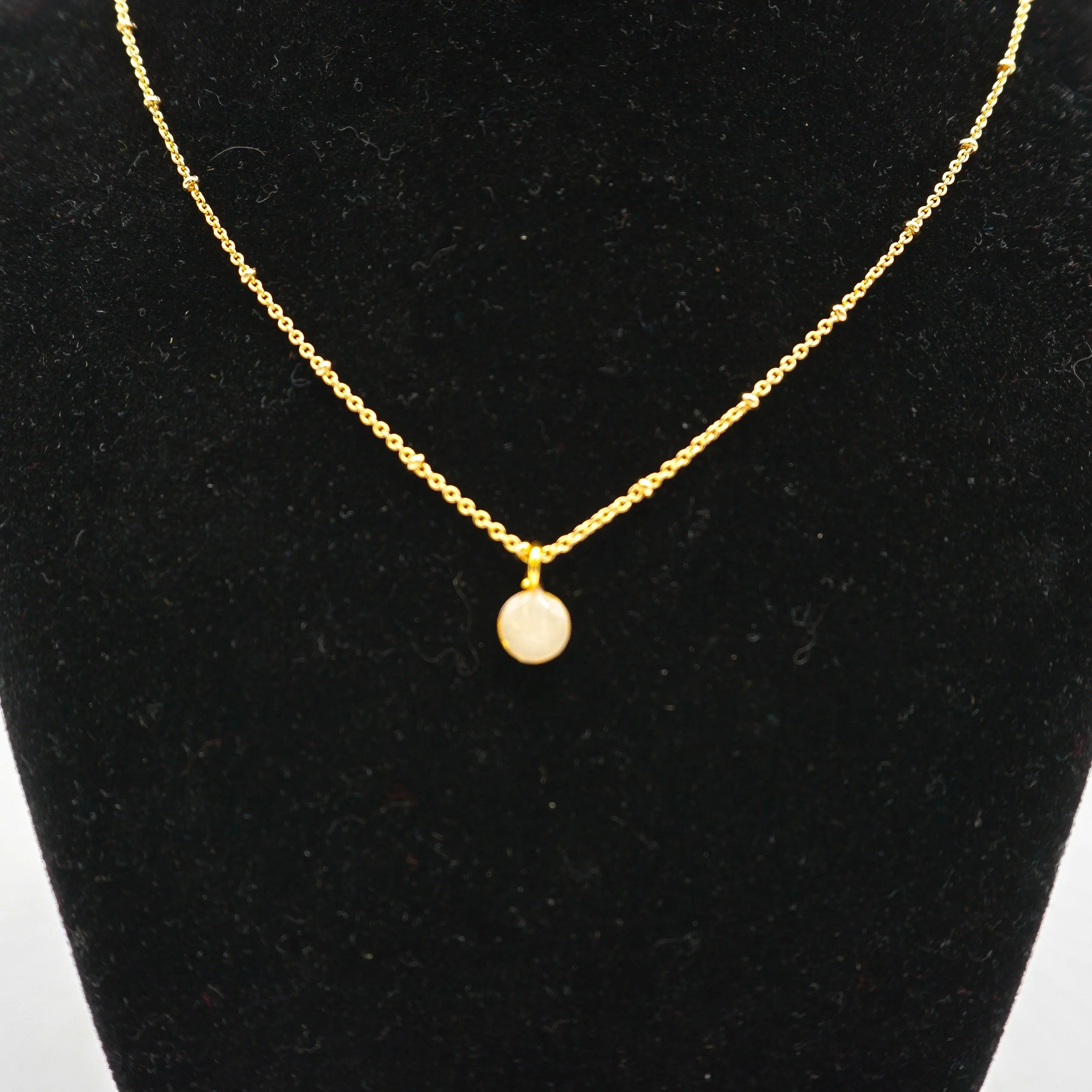 Schroeder, Erica_ESCH76C-3.jpg