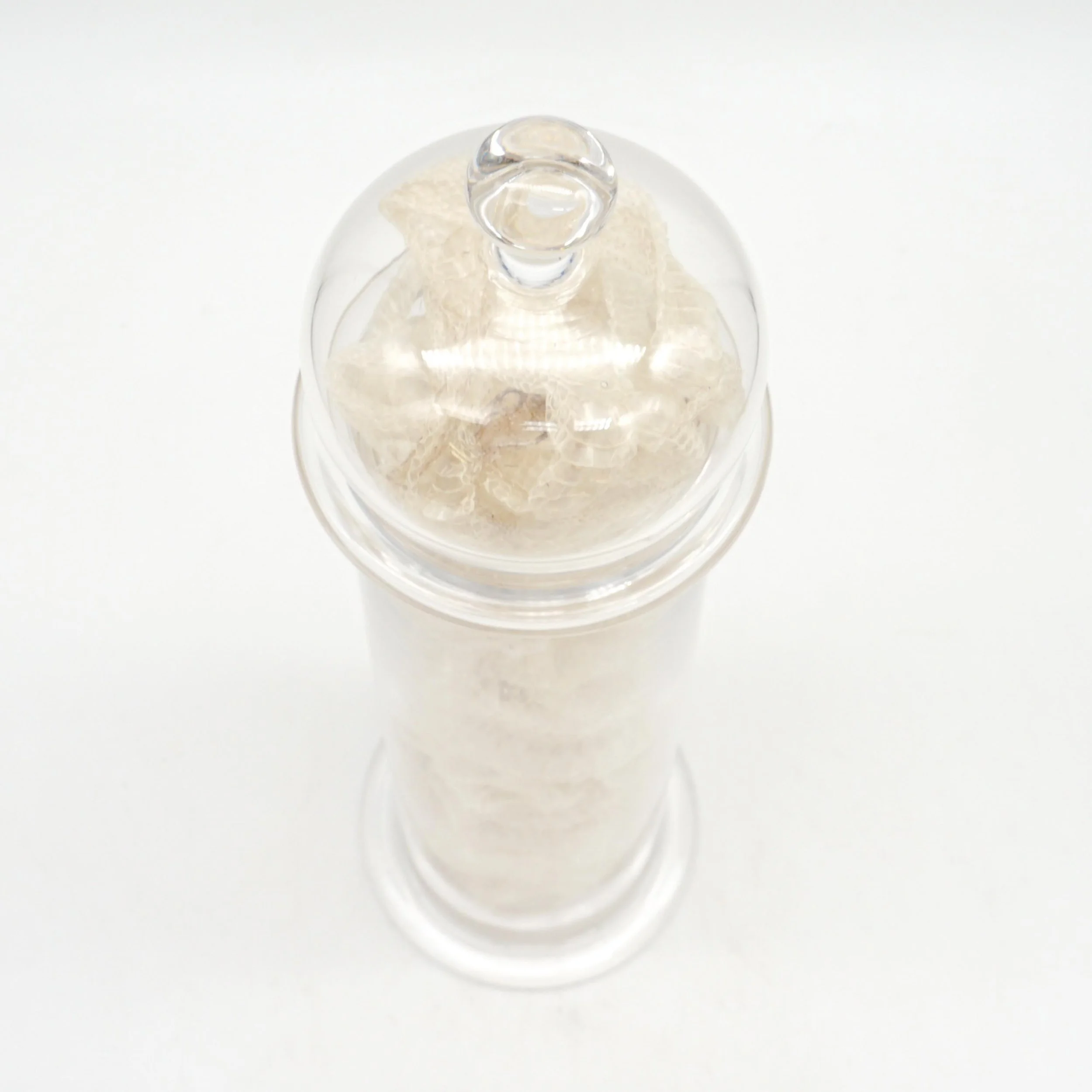 Arnett,Jake_JAR01-13.jpg