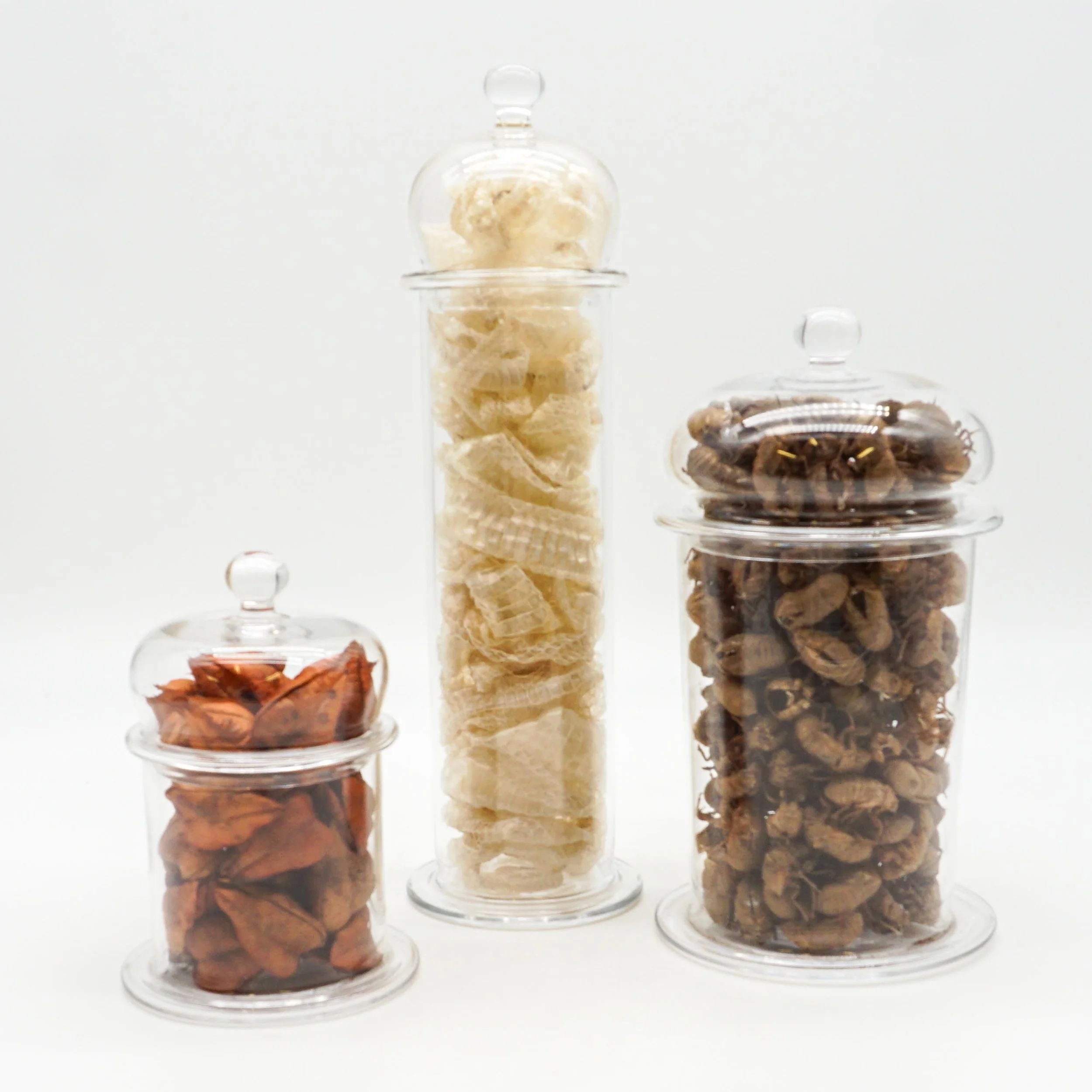 Arnett,Jake_JAR01-04.jpg