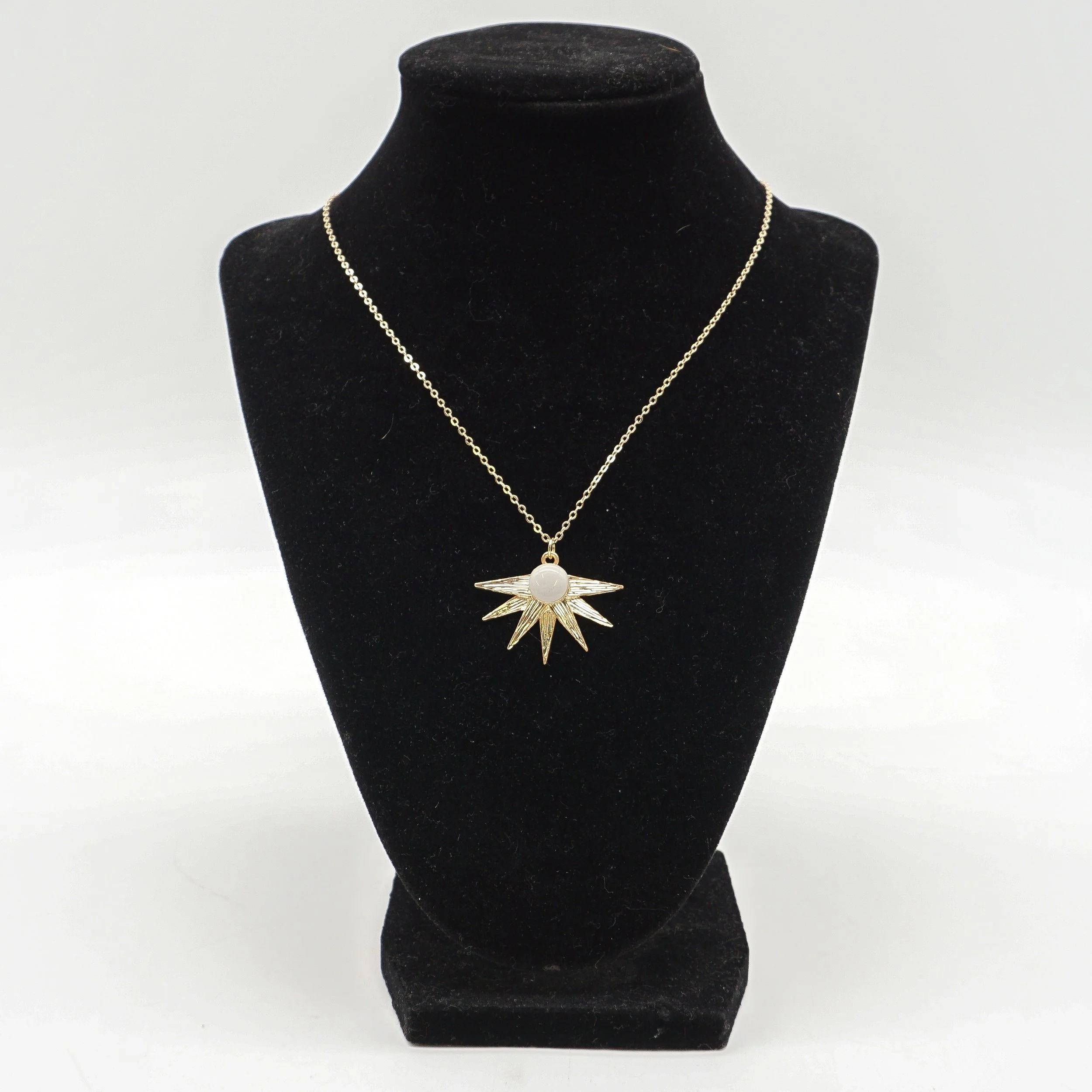 Schroeder, Erica_ESCH78A-1.jpg