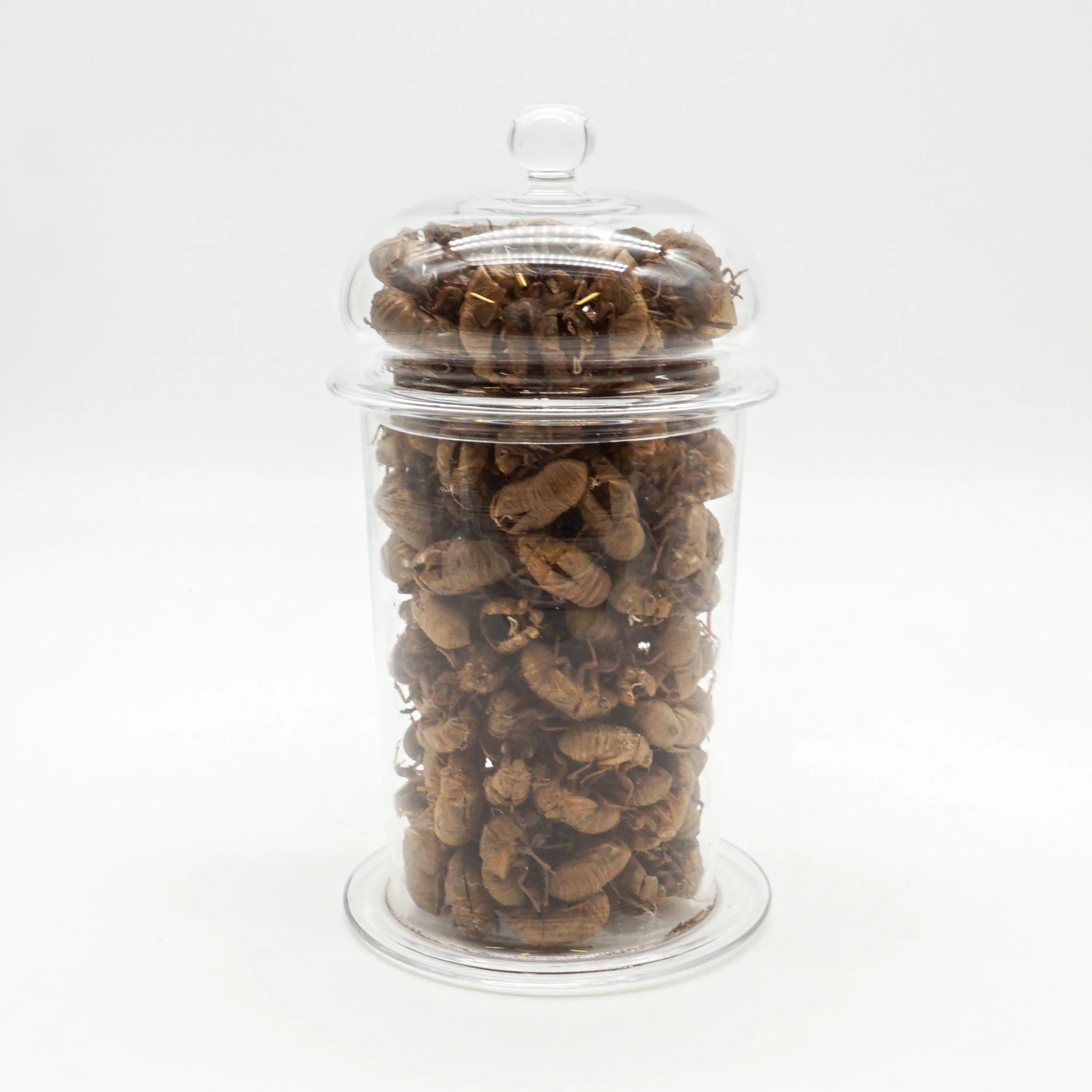 Arnett,Jake_JAR01-11.jpg