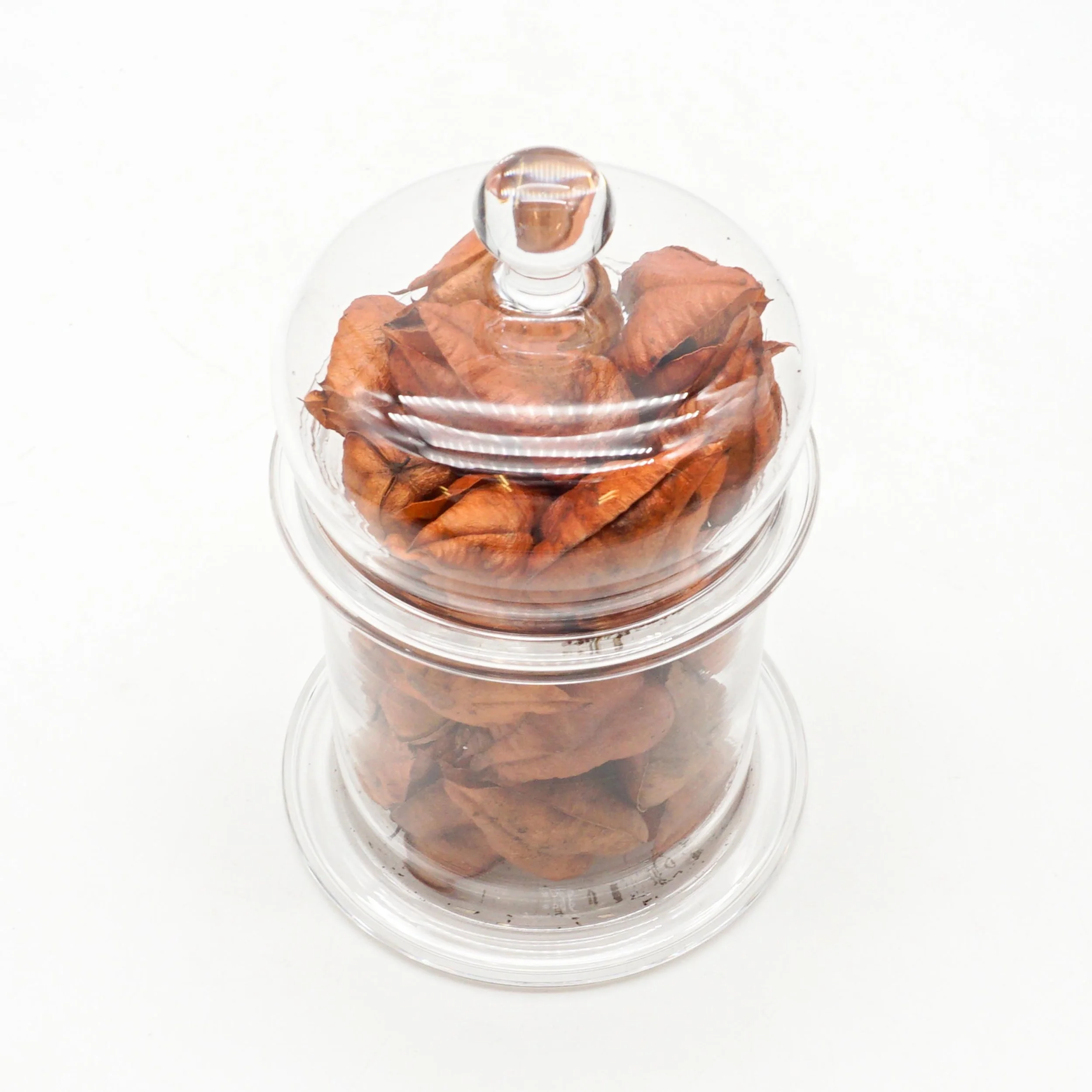Arnett,Jake_JAR01-08.jpg