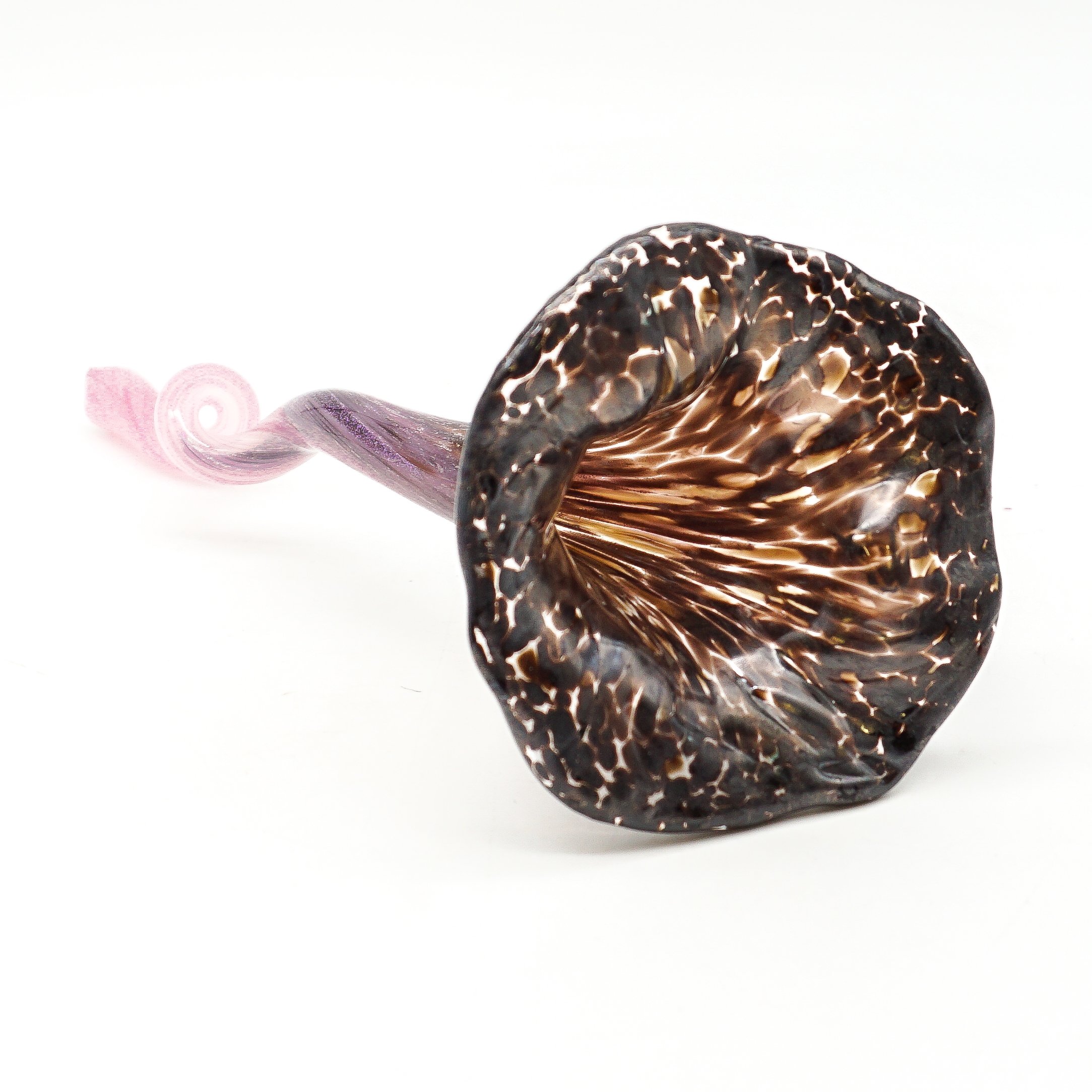 Black and Pink Flower