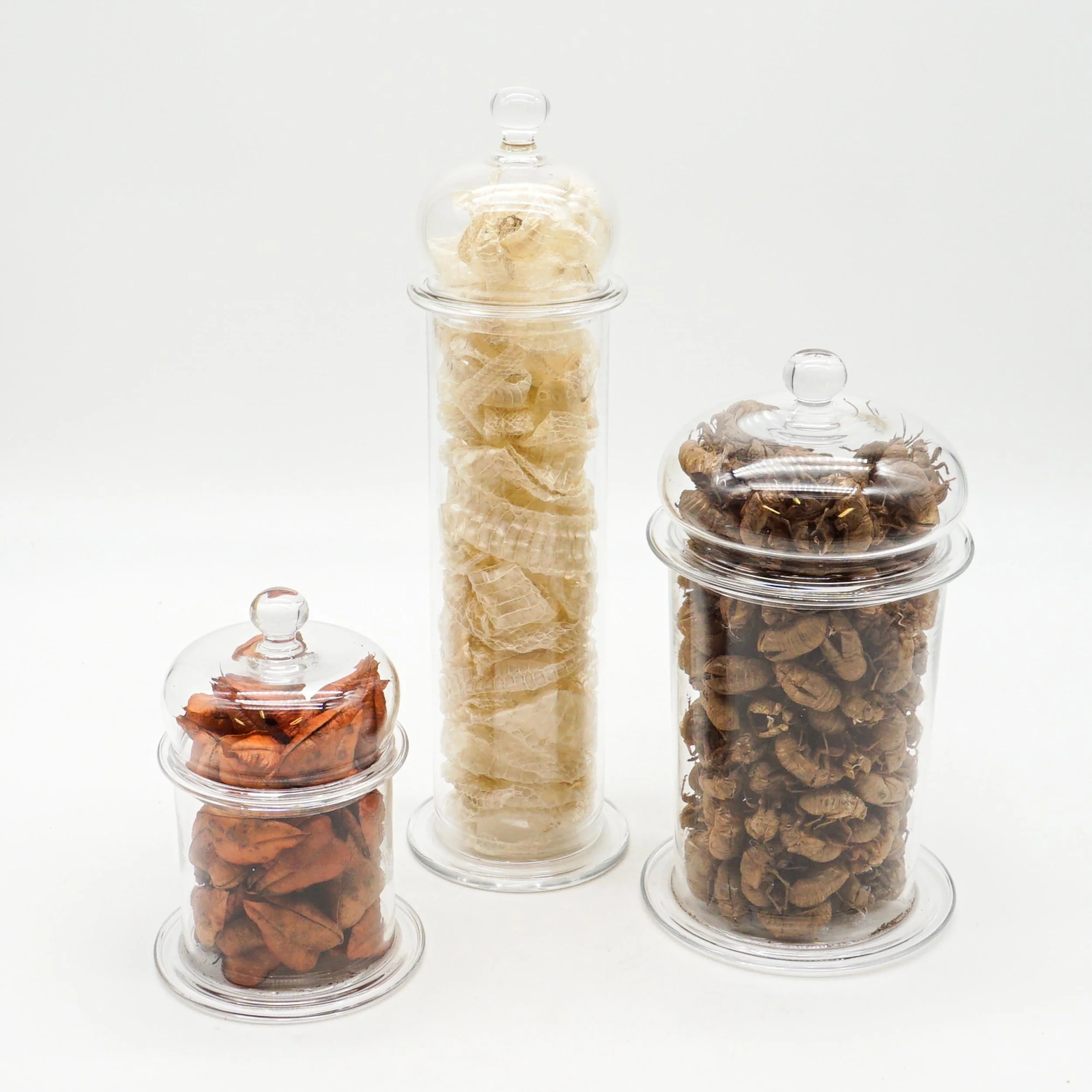Arnett,Jake_JAR01-03.jpg