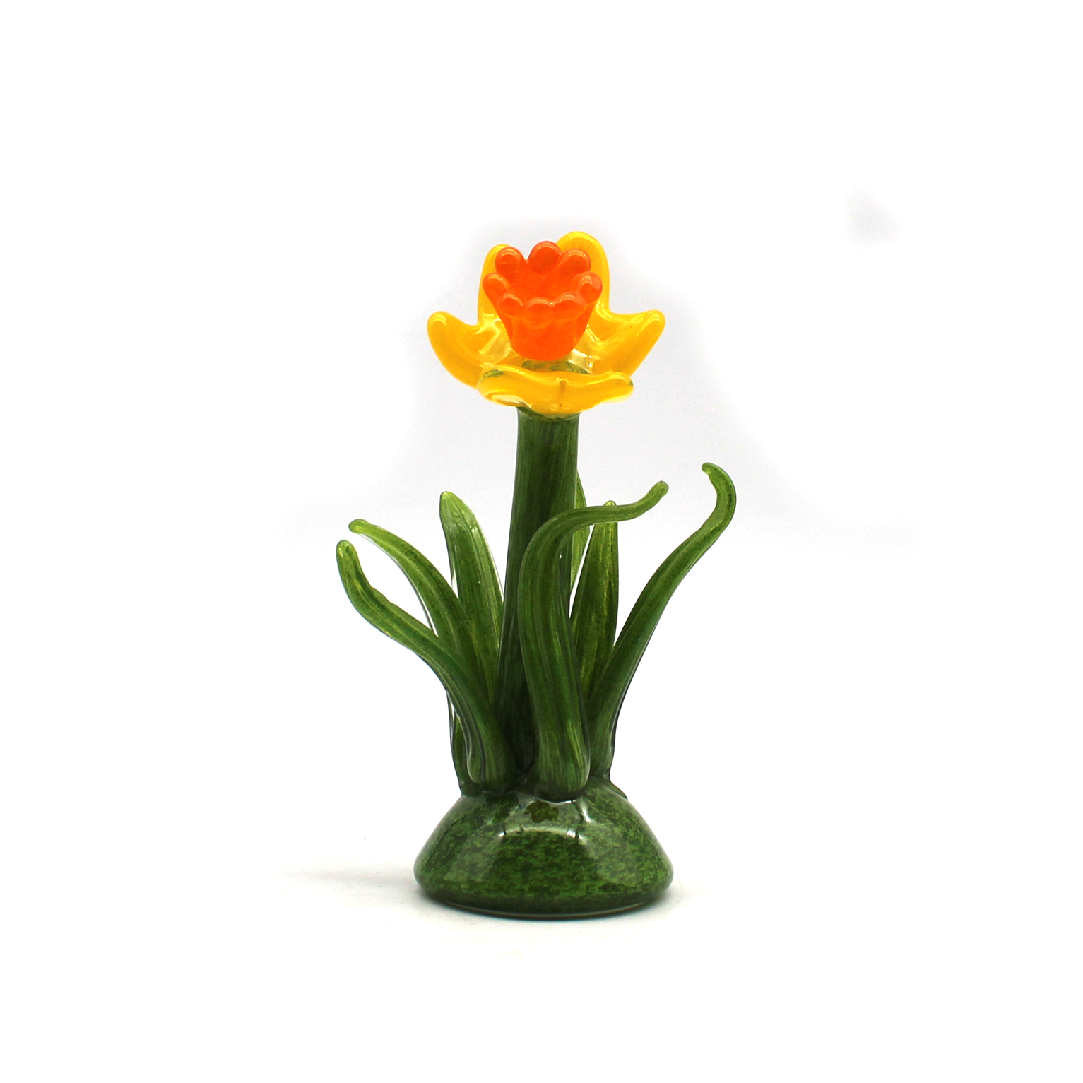 Daffodil