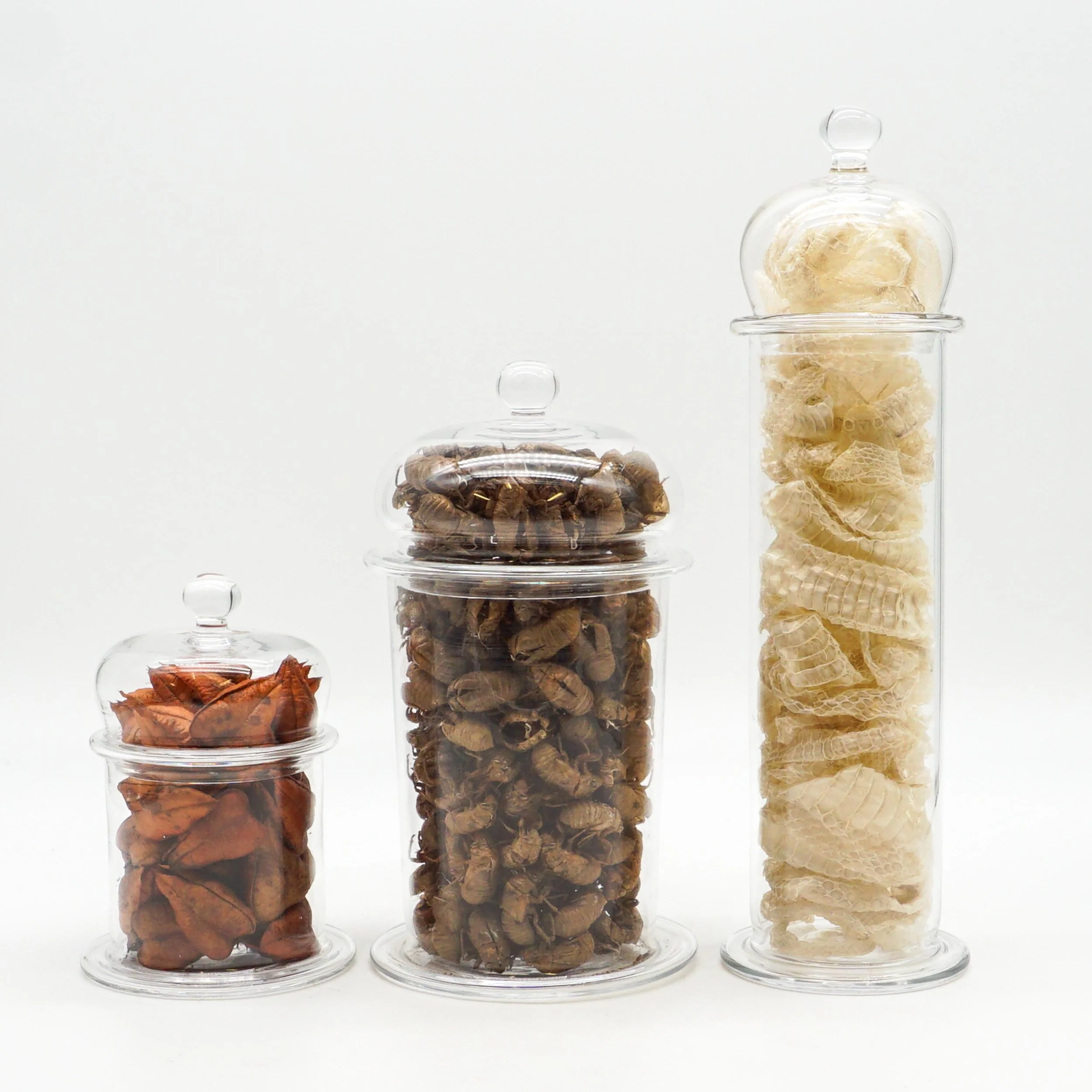 Arnett,Jake_JAR01-02.jpg