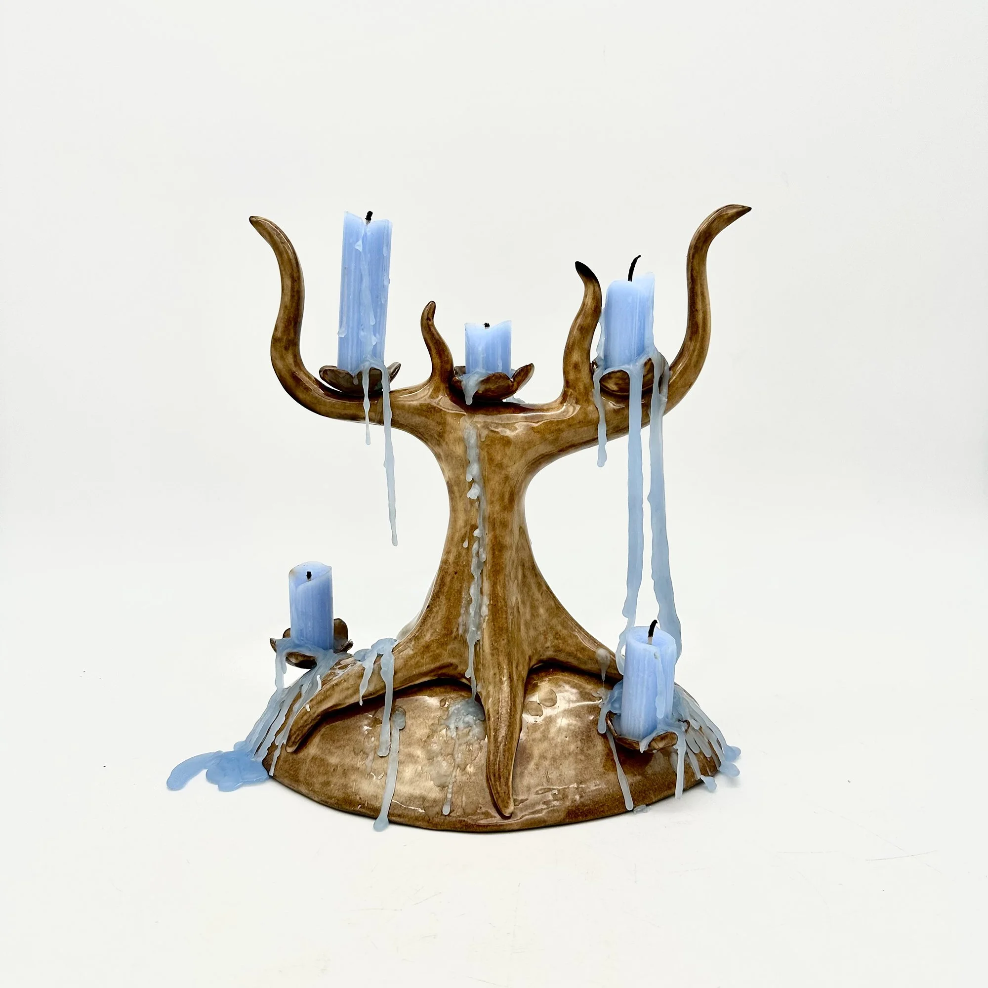 Ind_Study_Zoey_03.jpg