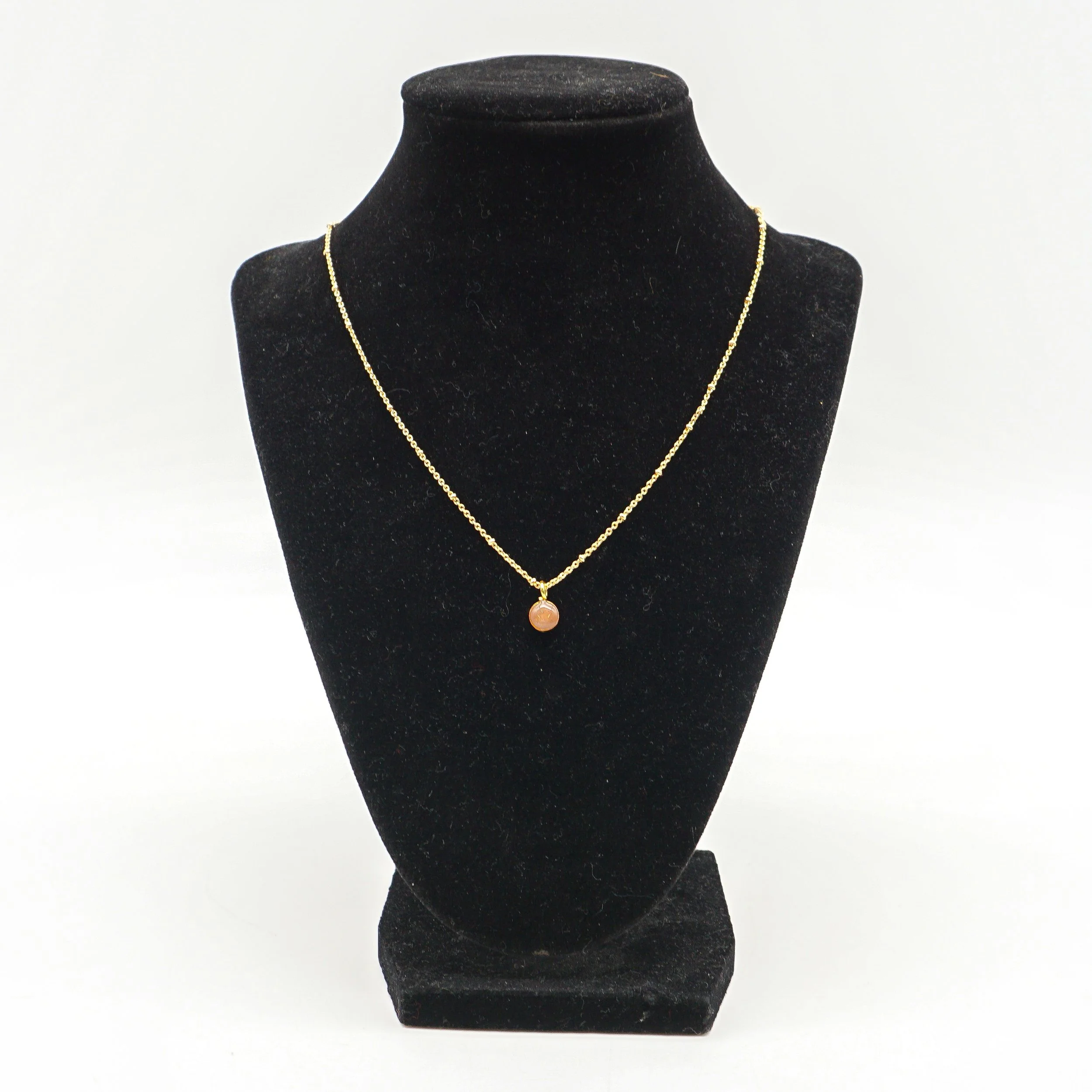 Schroeder, Erica_ESCH76A-2.jpg