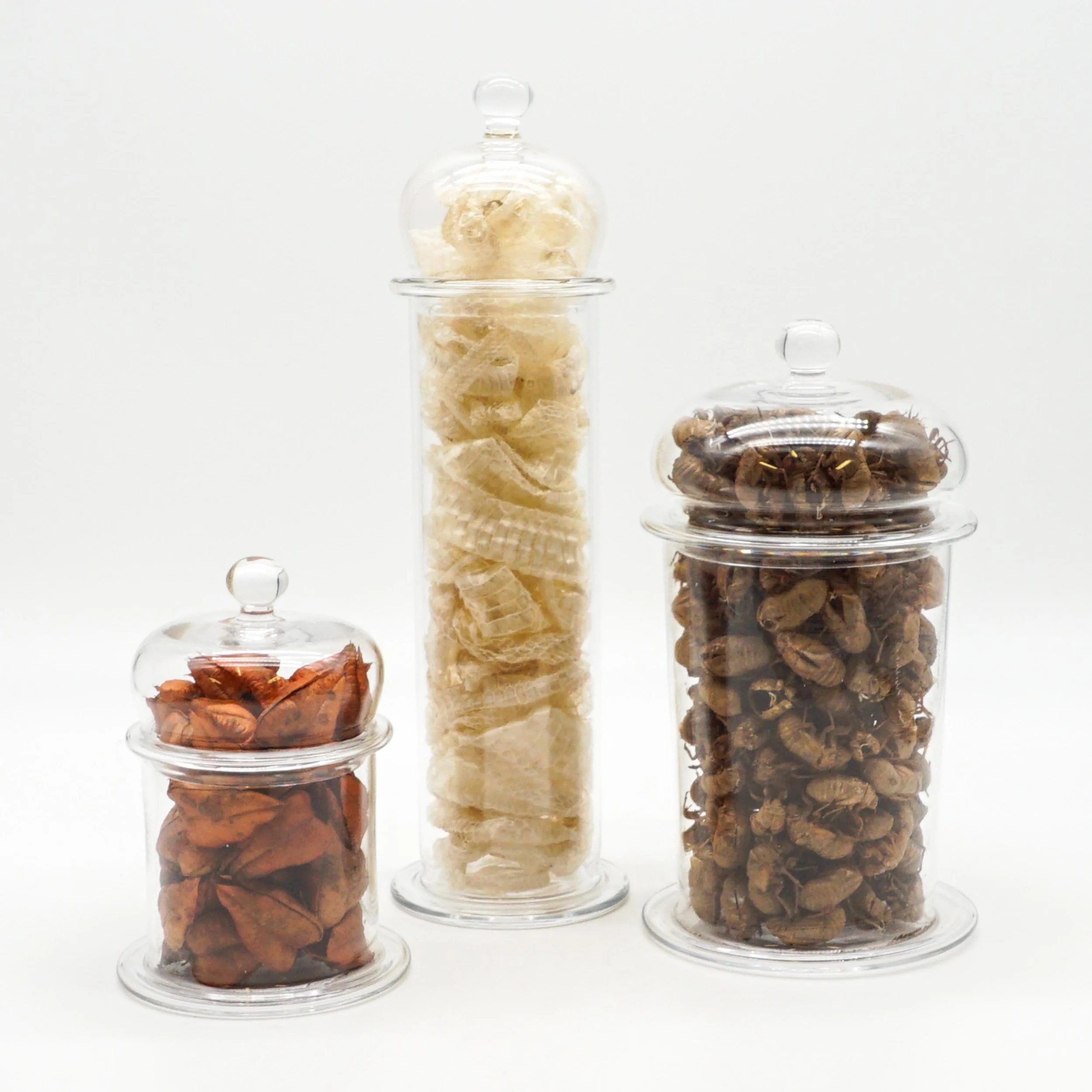 Arnett,Jake_JAR01-06.jpg