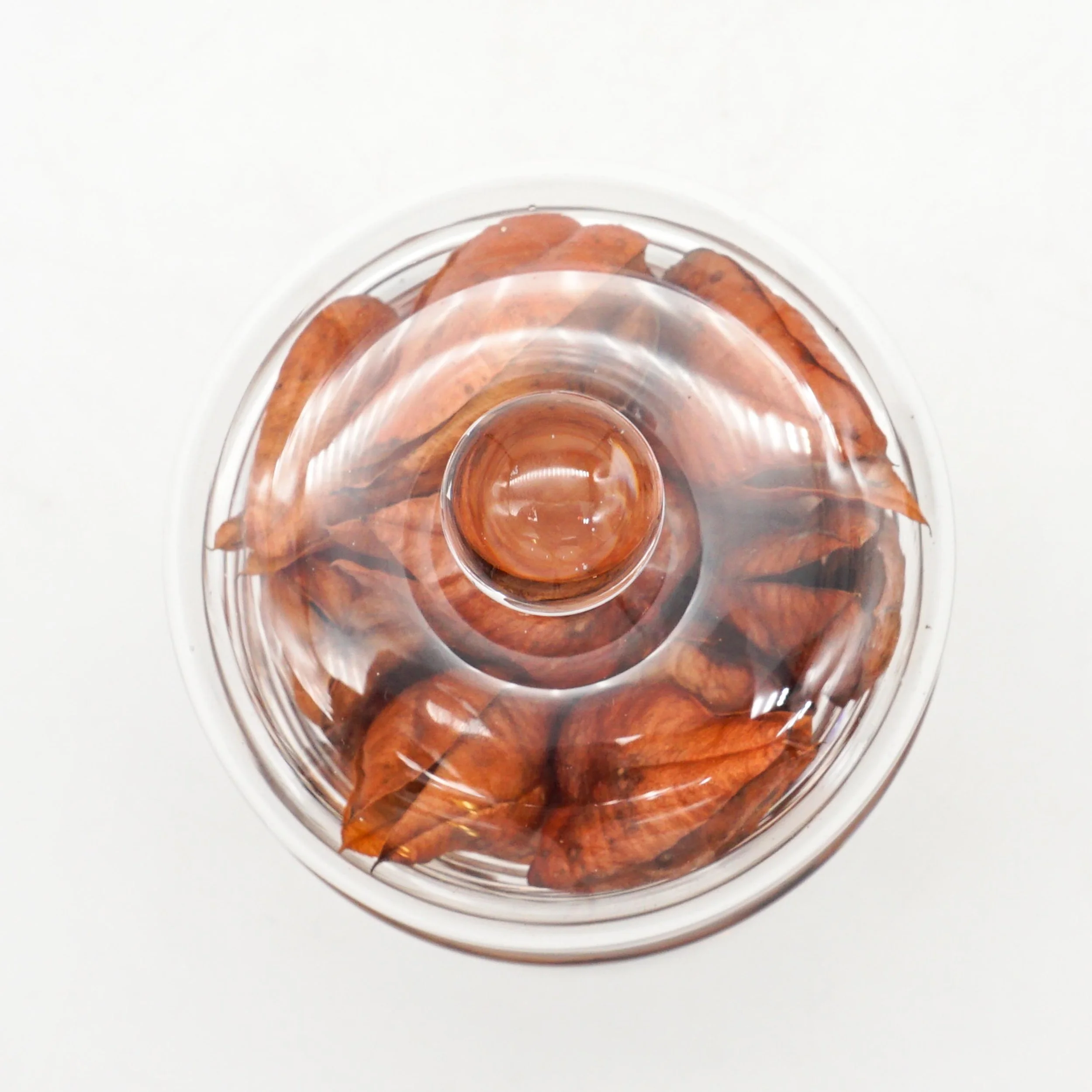 Arnett,Jake_JAR01-07.jpg