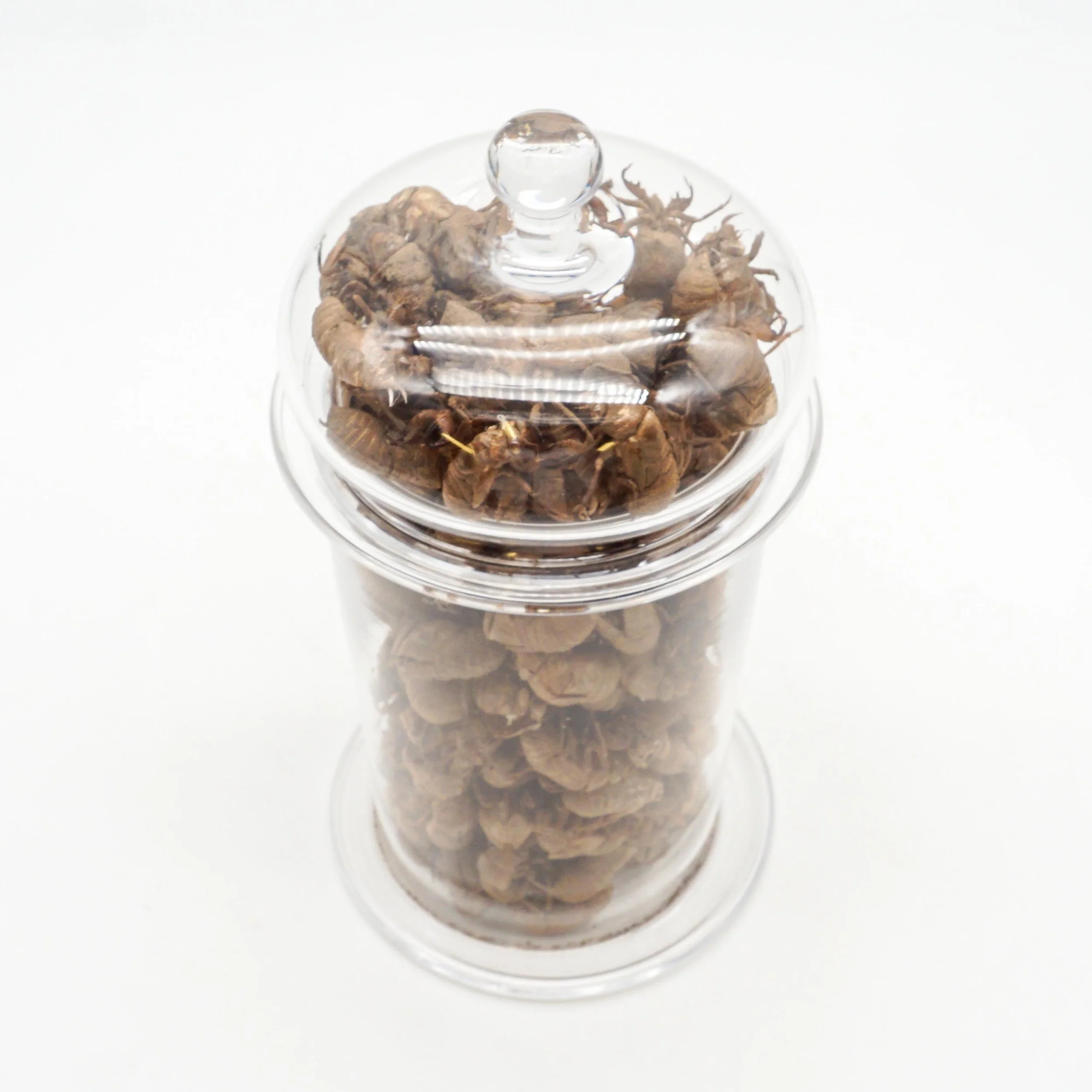 Arnett,Jake_JAR01-10.jpg
