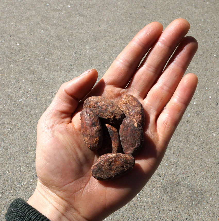 hand-2.jpg
