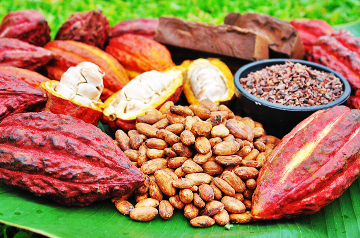 cacao.png