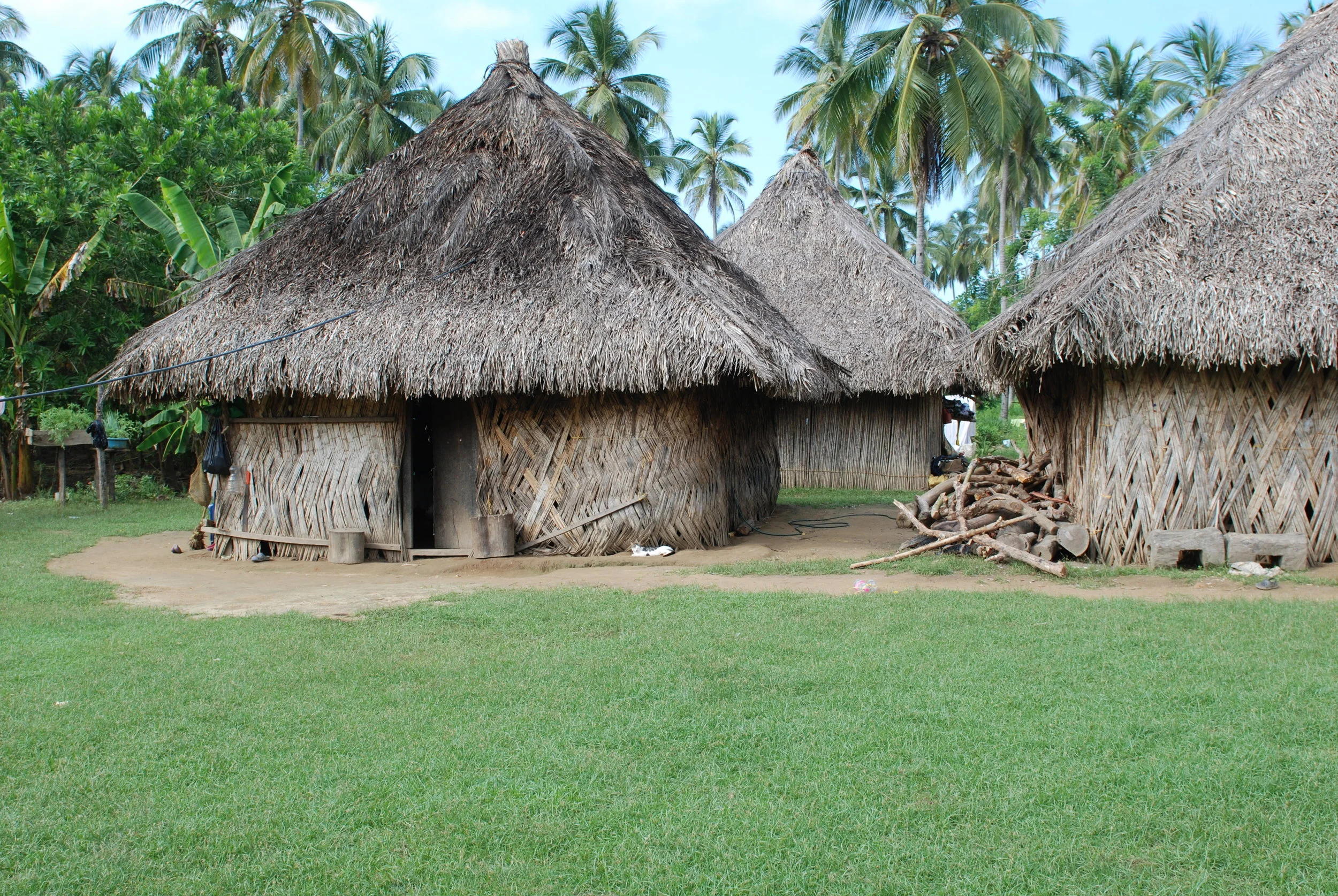 DSC_3488.jpg