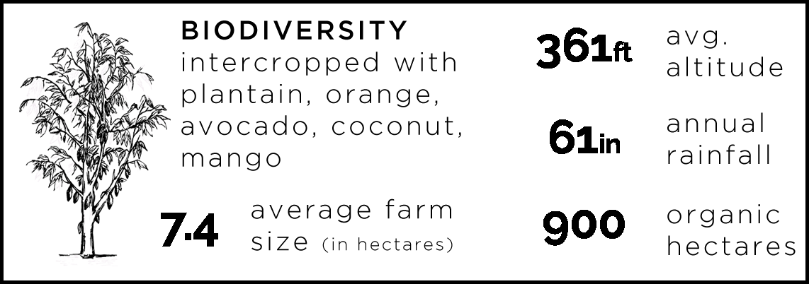 Oko-Environment.png