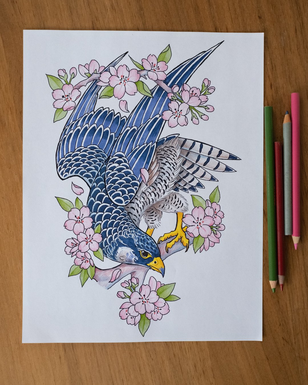Hey I really want to tattoo this falcon. Let me know if you're interested by email! I think it'd look great on a thigh or upper arm; just saying...

Feel free to share it to someone you know who digs birds. 

#birdtattoo #birdflash #falcontattoo #tor