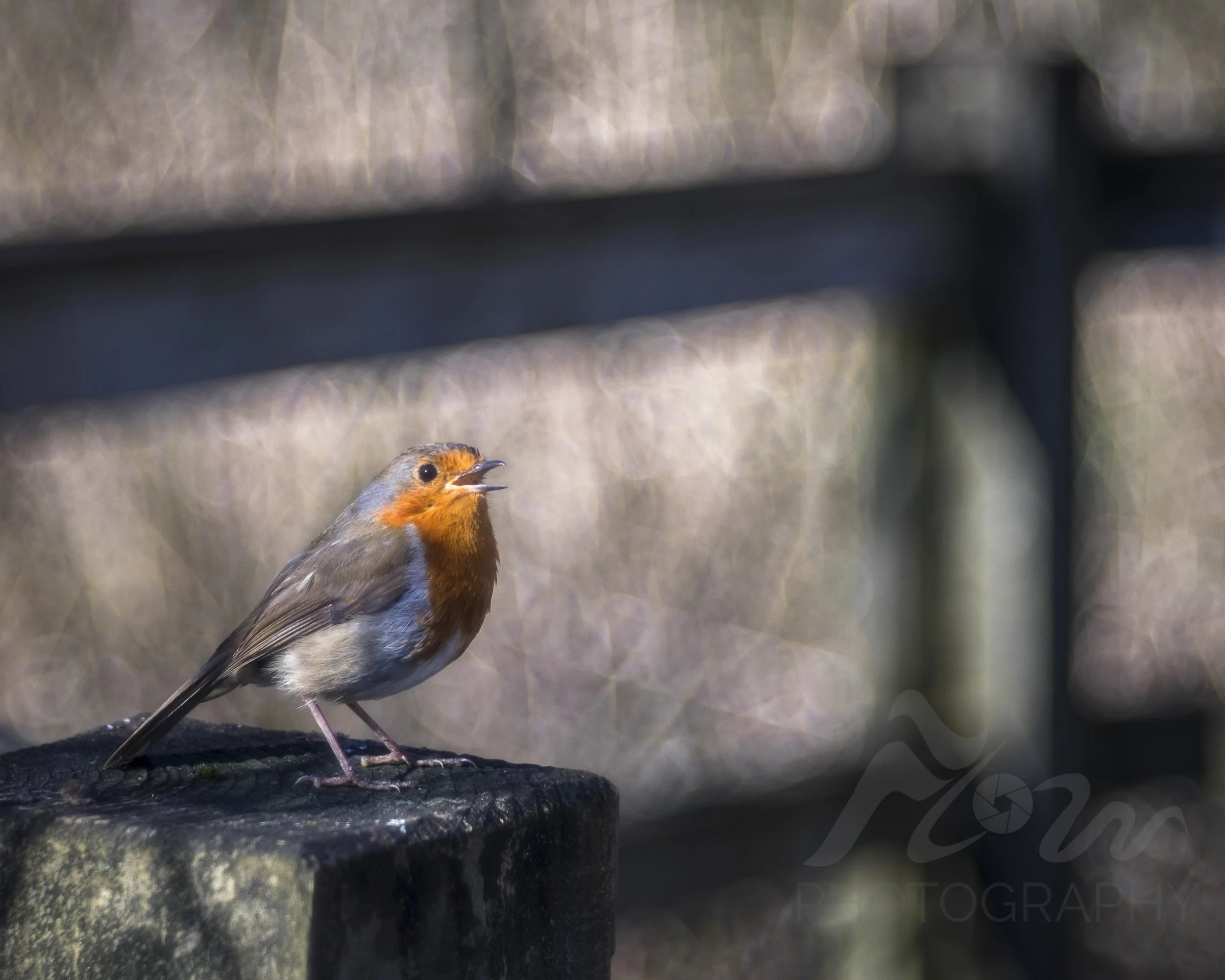 Songbird